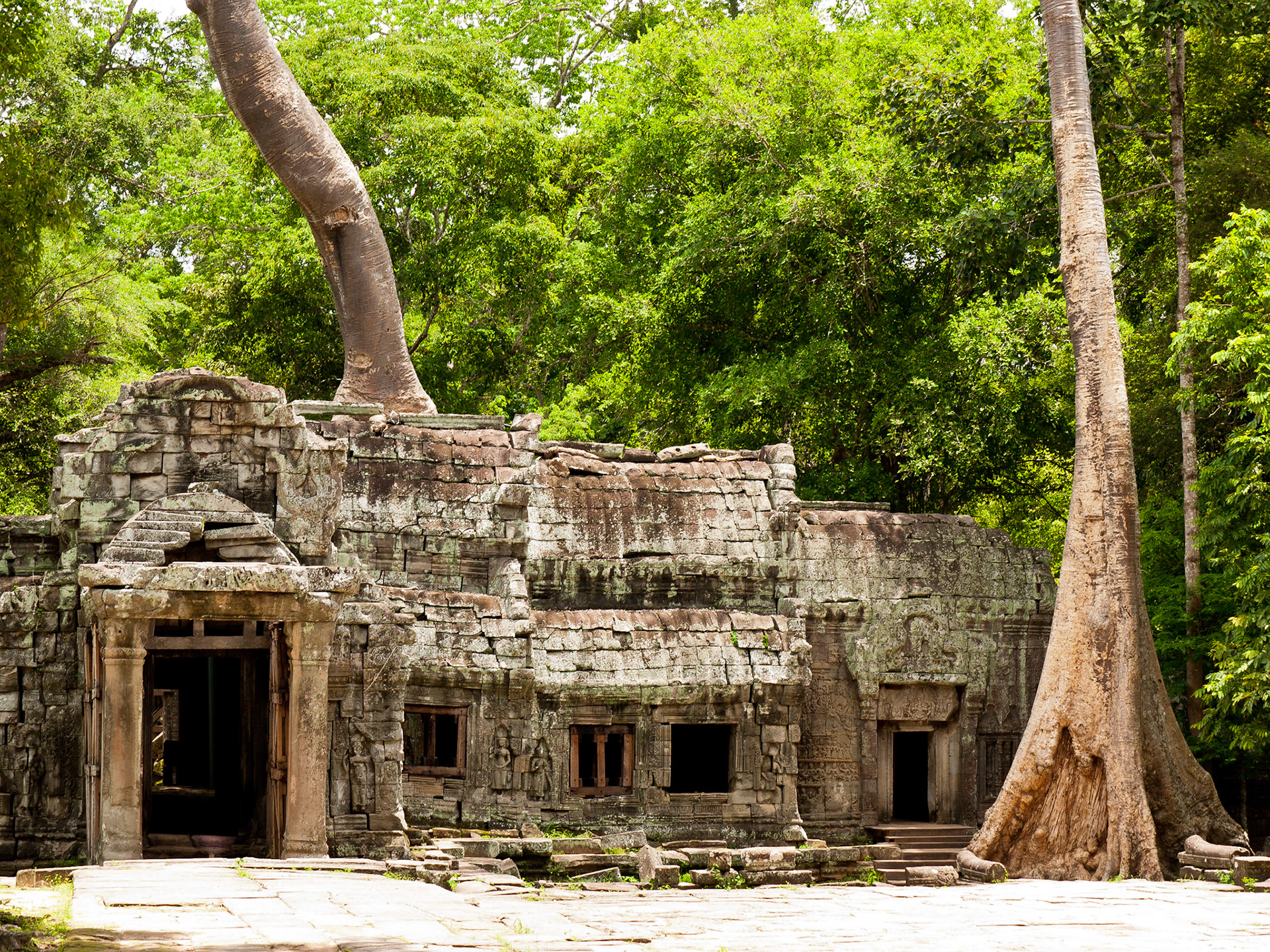 (Ta Prohm)
