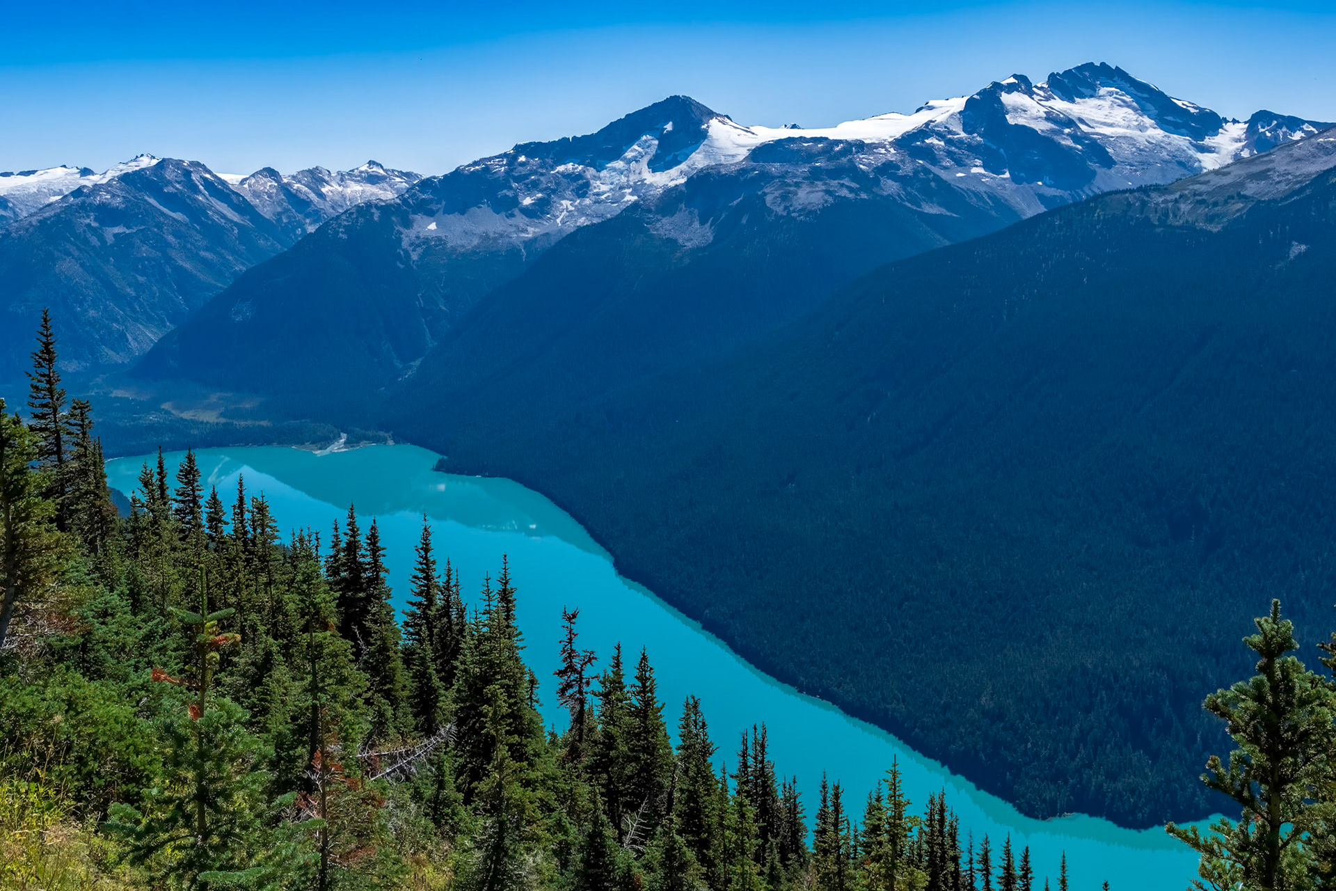 Whistler: High Note and Musical Bumps