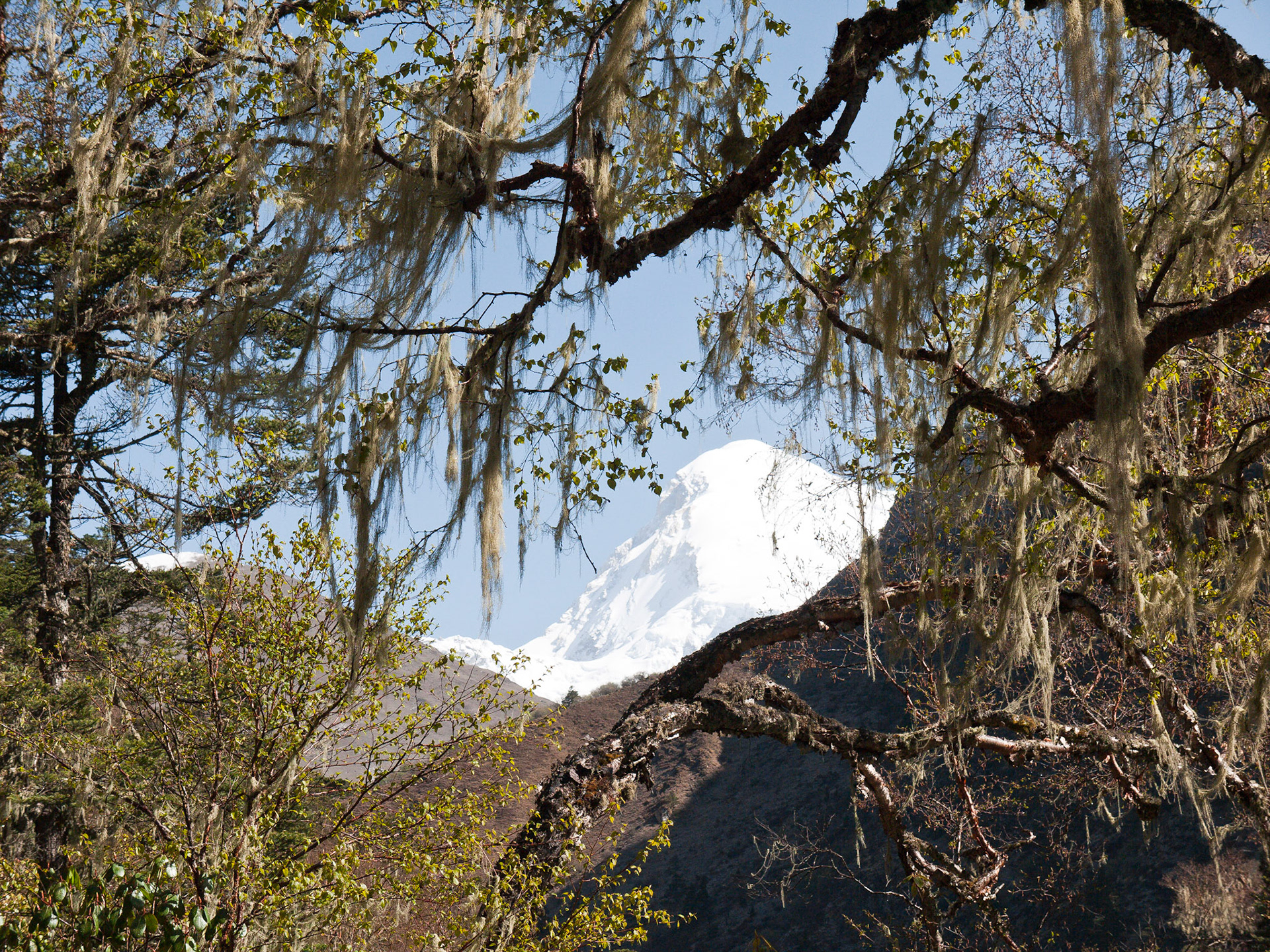 (Thangthangkha to Jangothang)