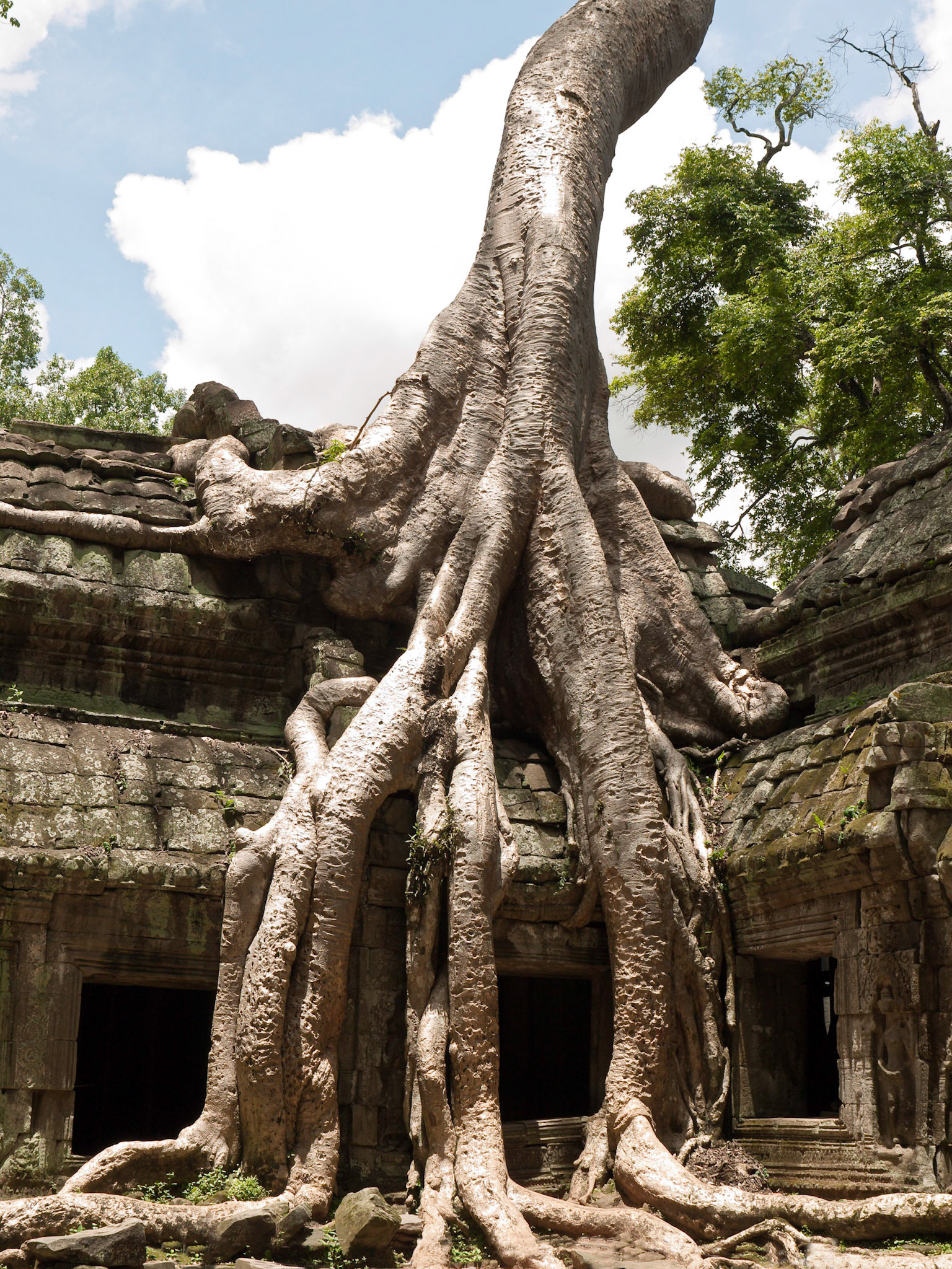 (Ta Prohm)