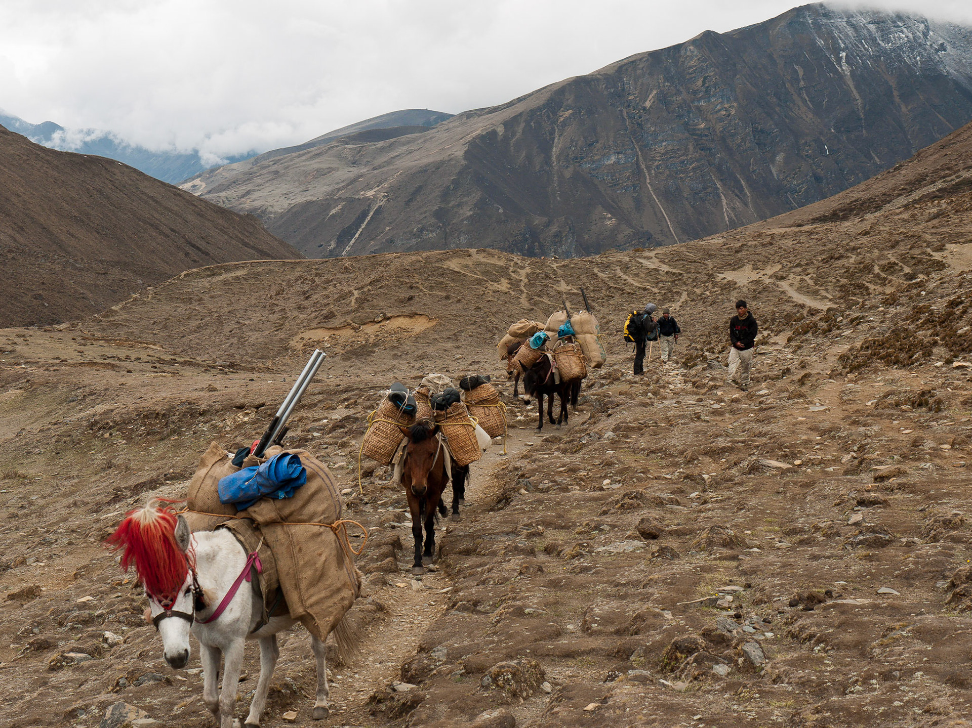 (Jangothang to Lingshi)