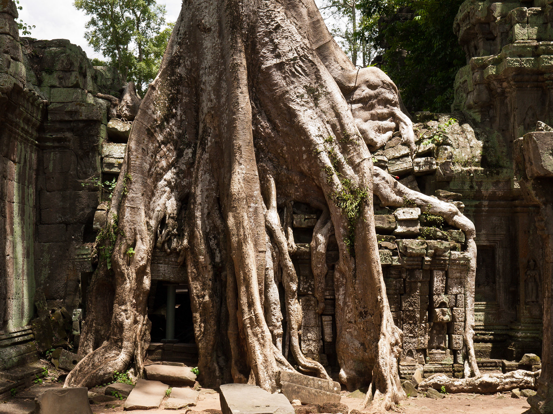 (Ta Prohm)