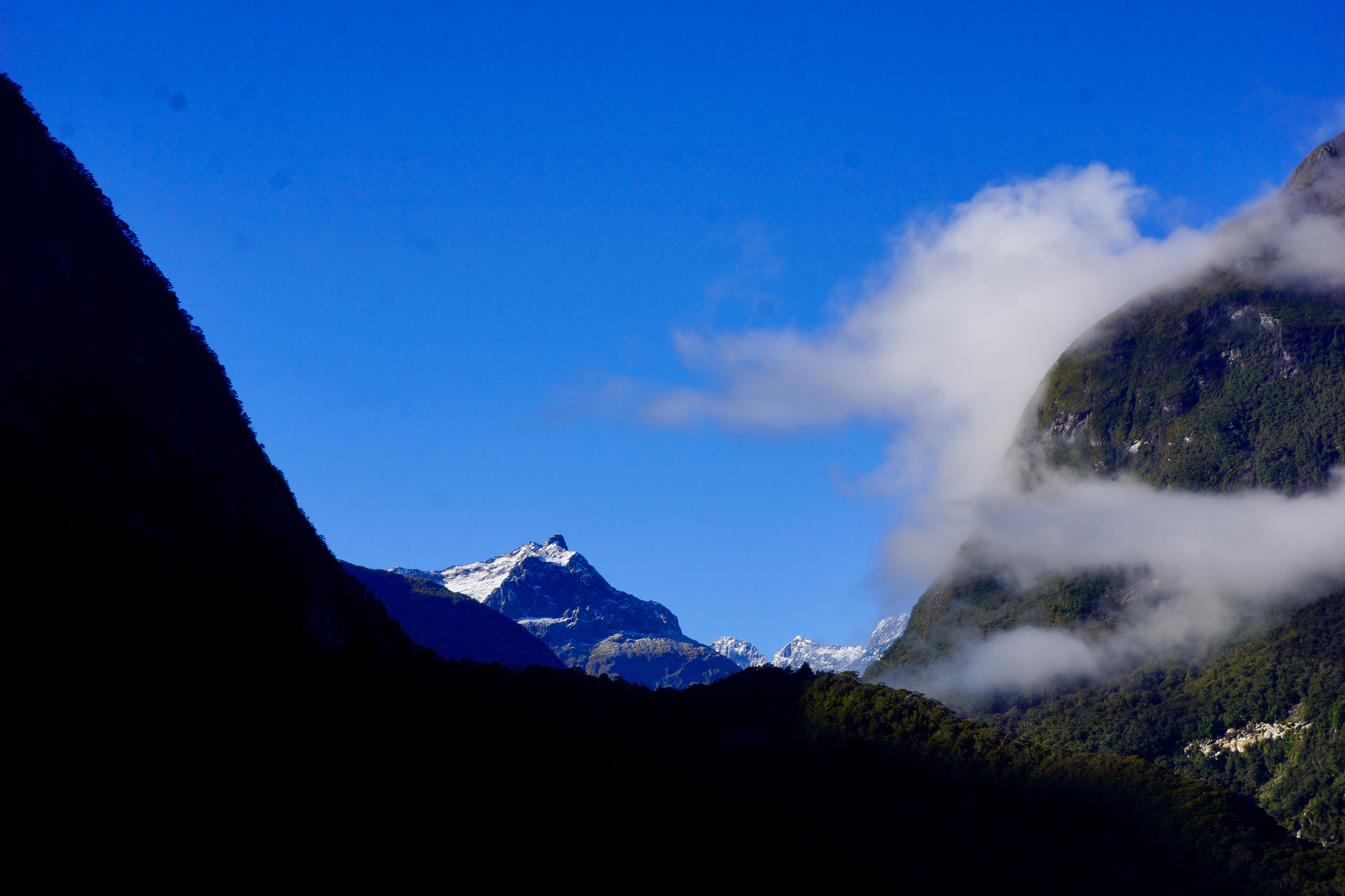 Milford Sound