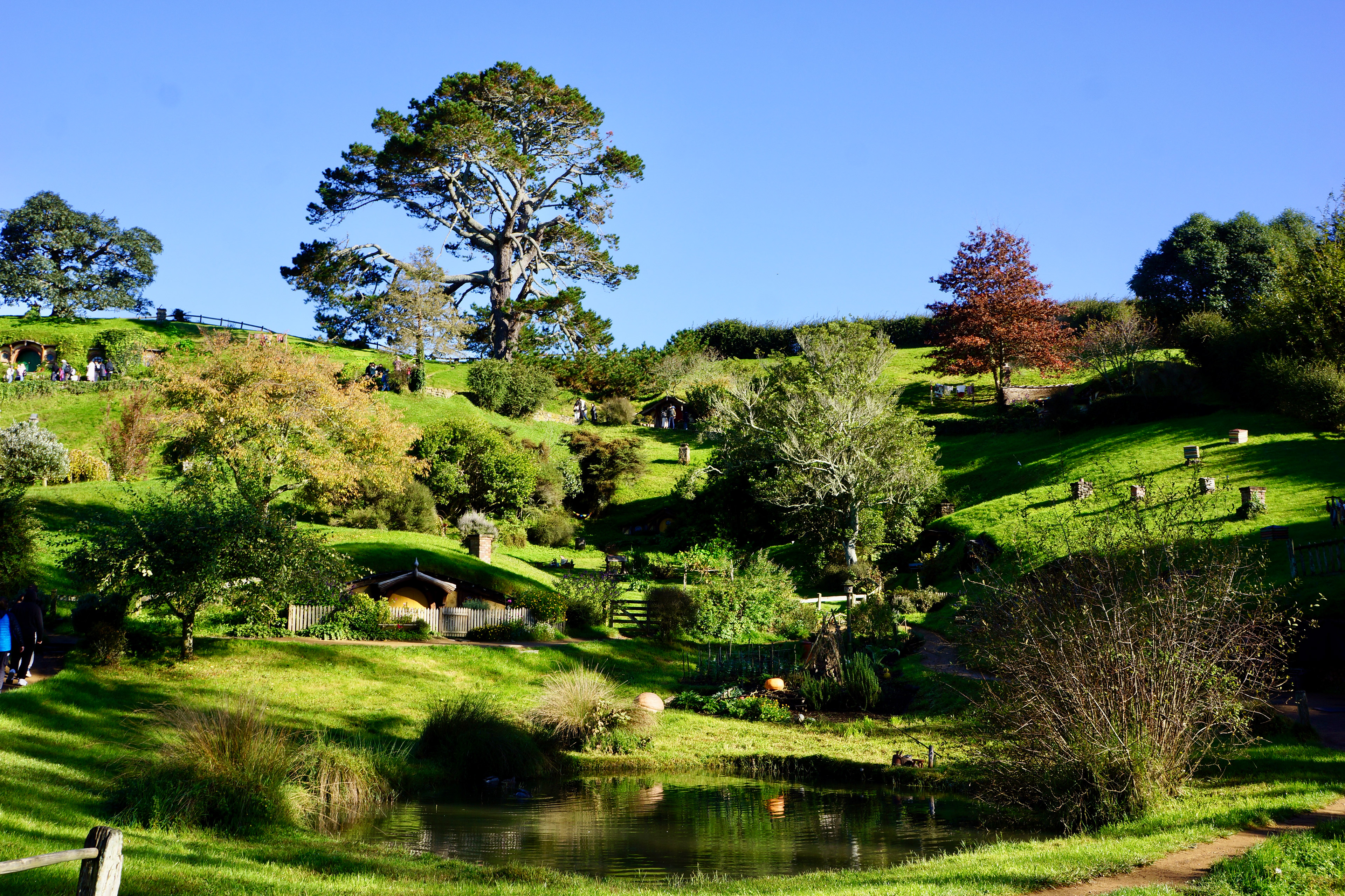 Hobbiton