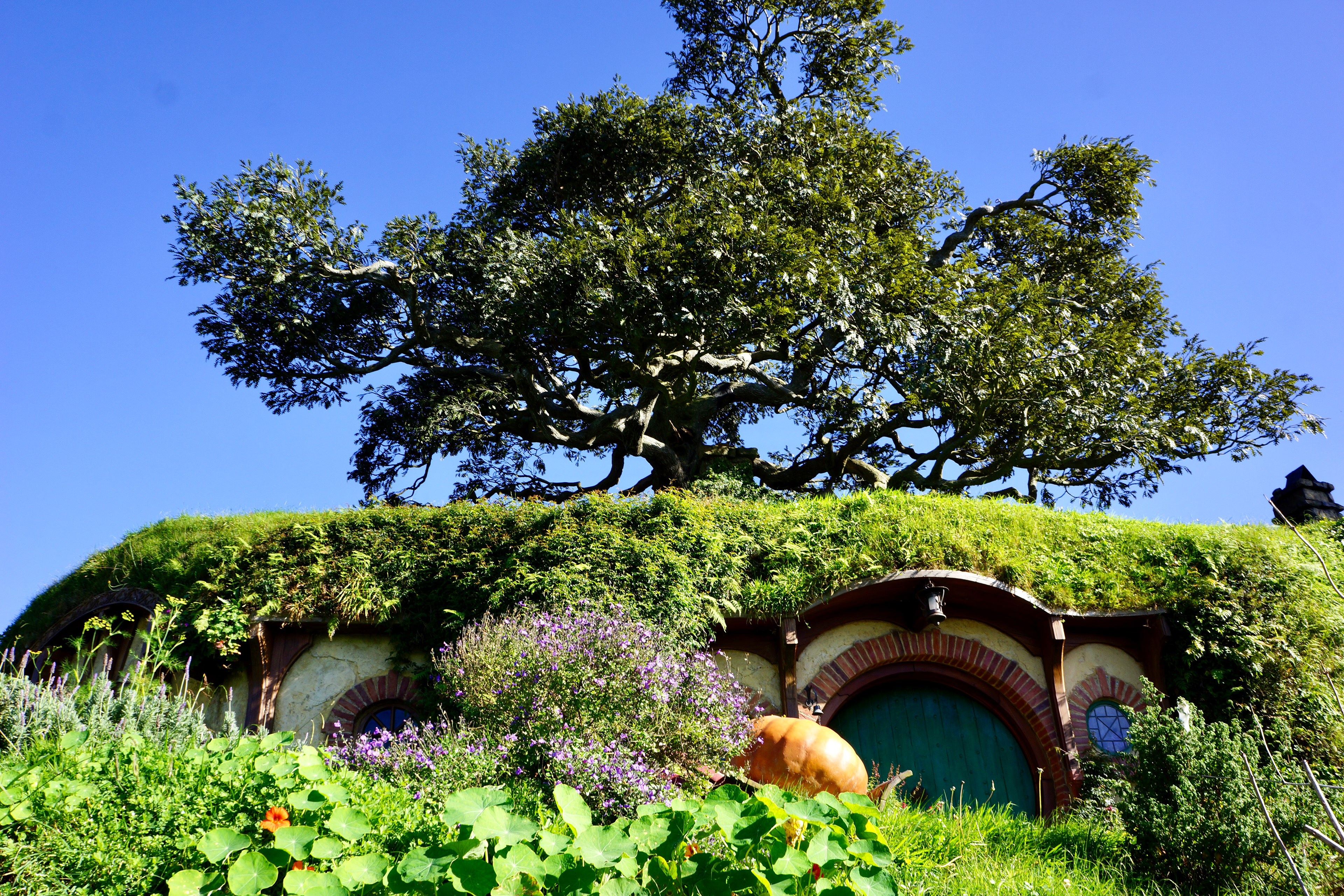 Hobbiton