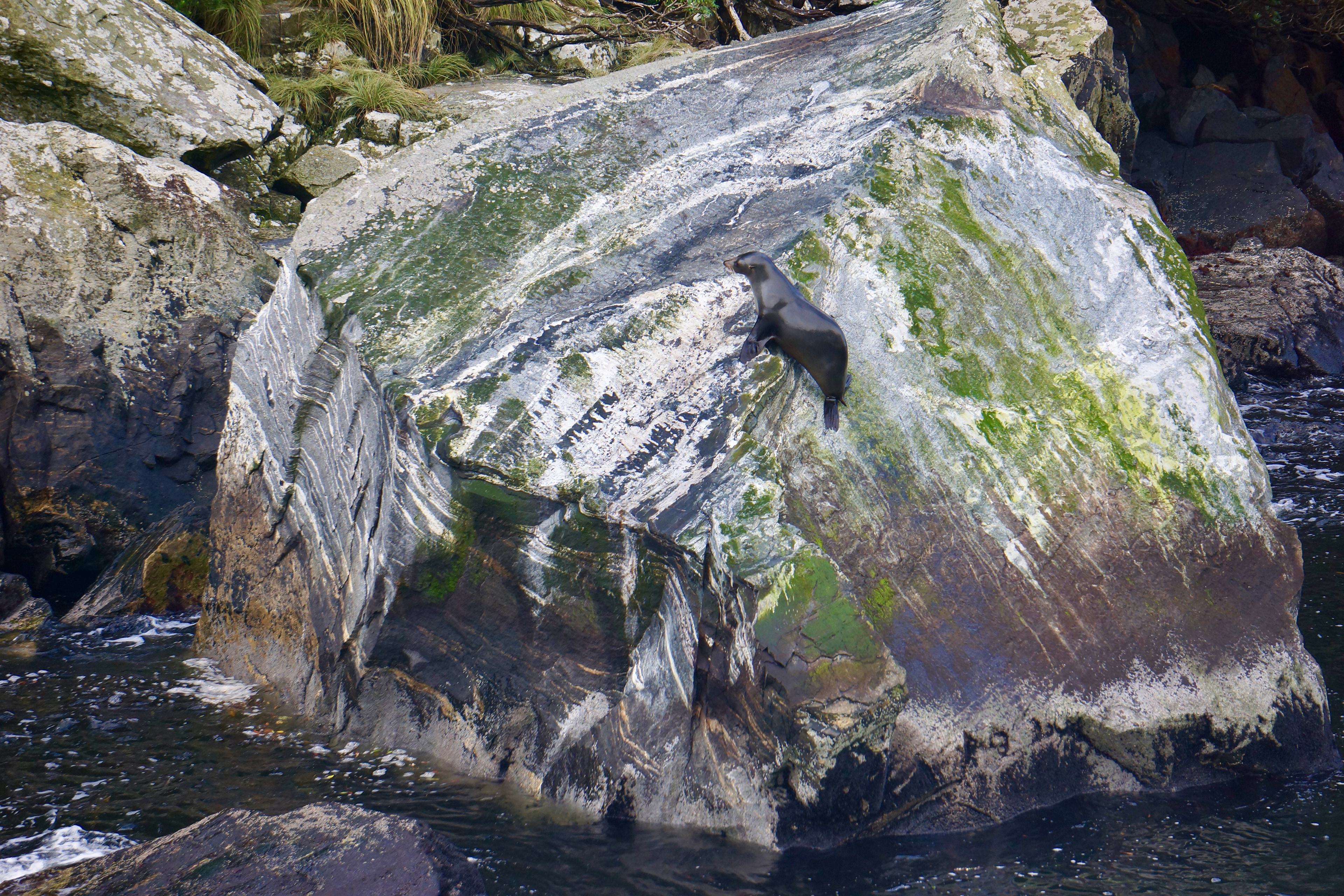 Milford Sound