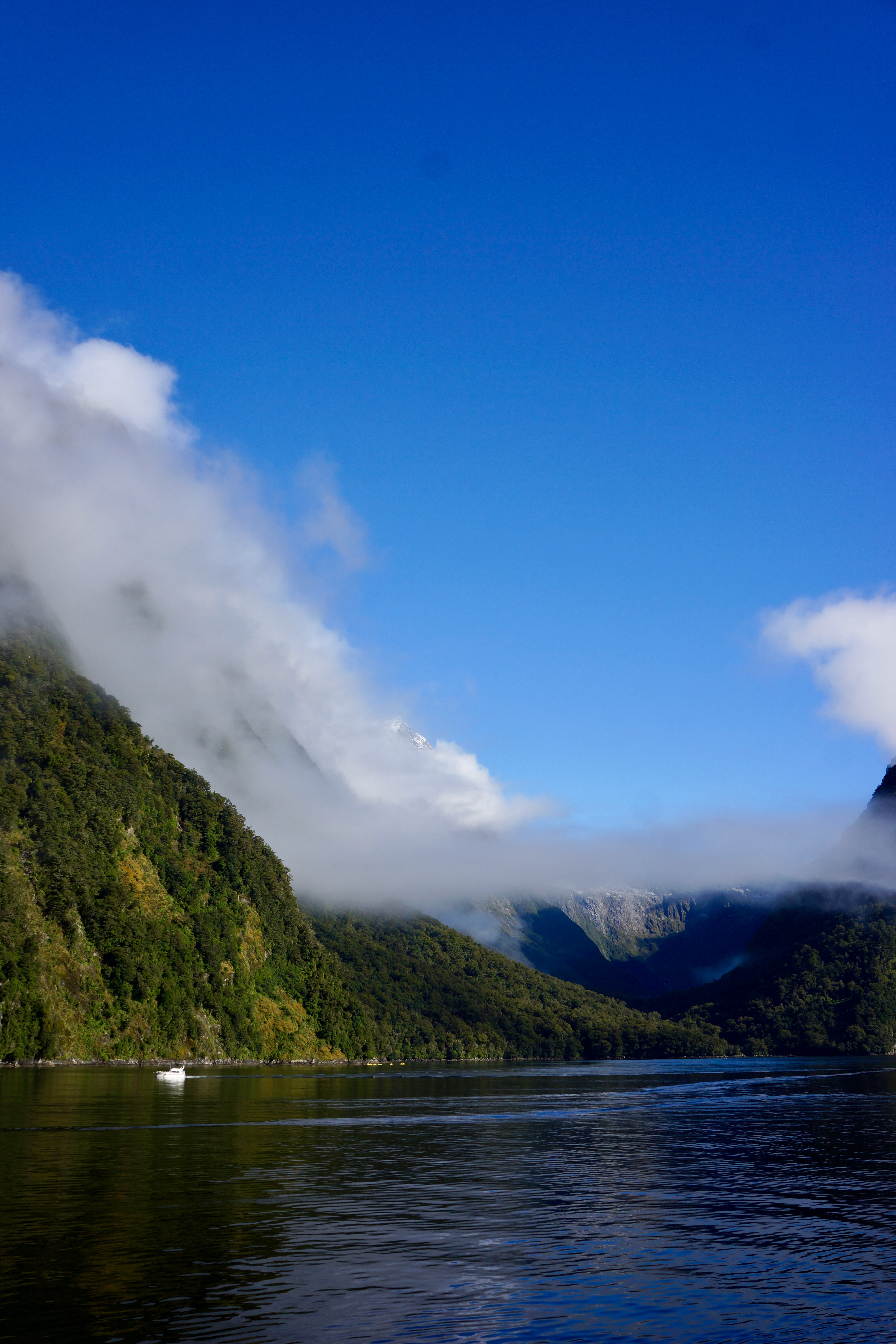 Milford Sound