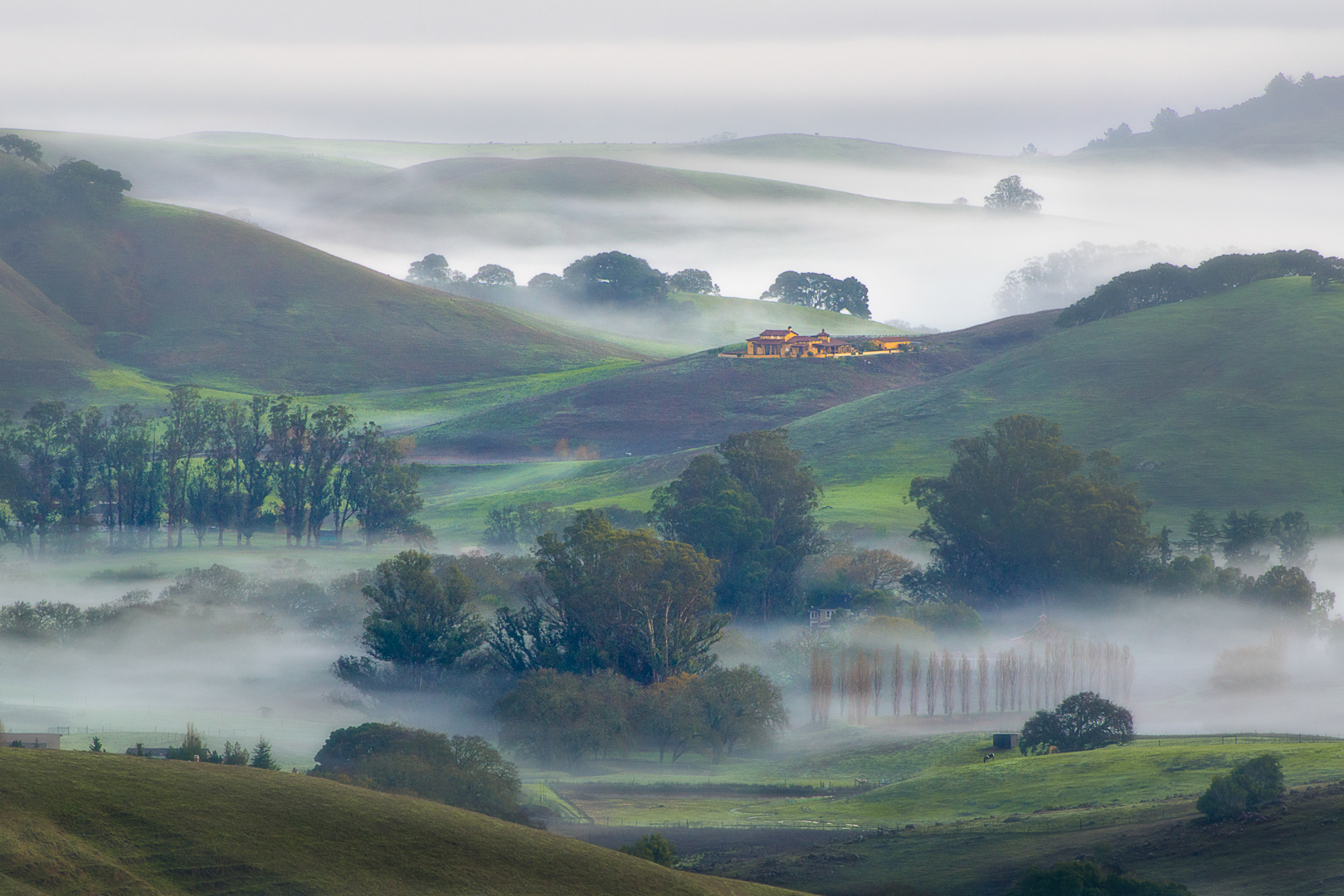Morning Fog