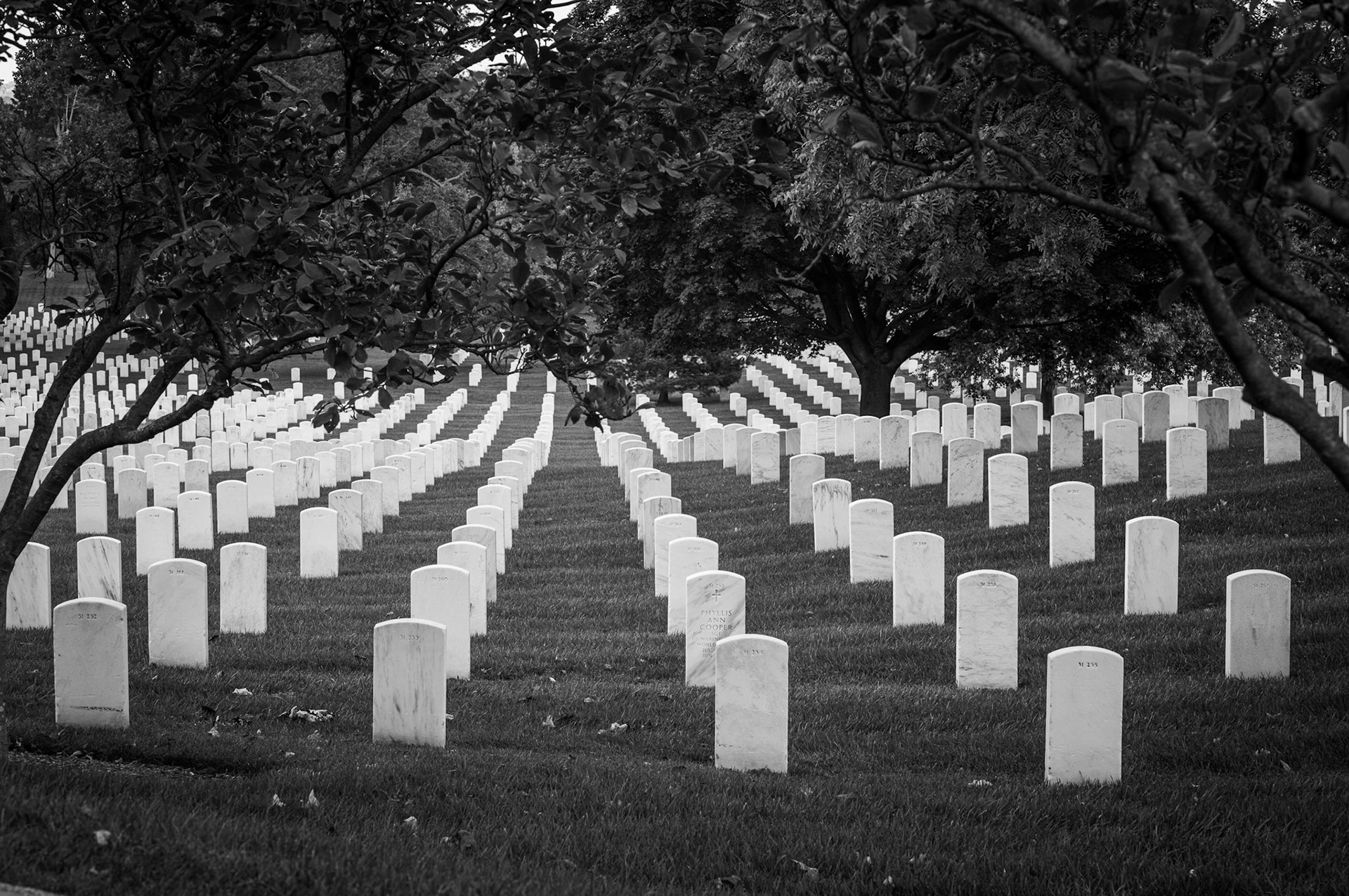 Cimetierre d'Arlington