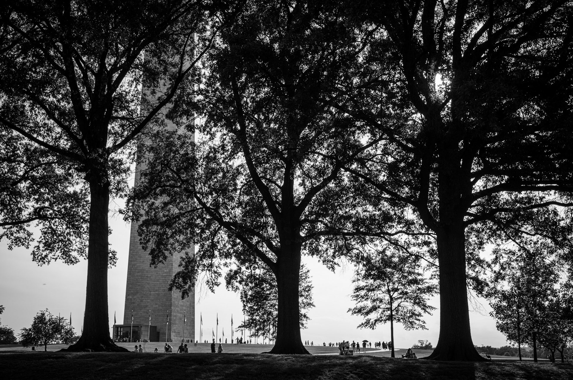 Au pied du monument de Washington