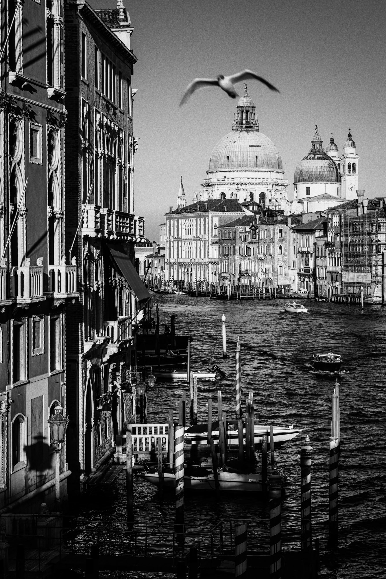 Basilique Sainte Marie du Salut, Venise