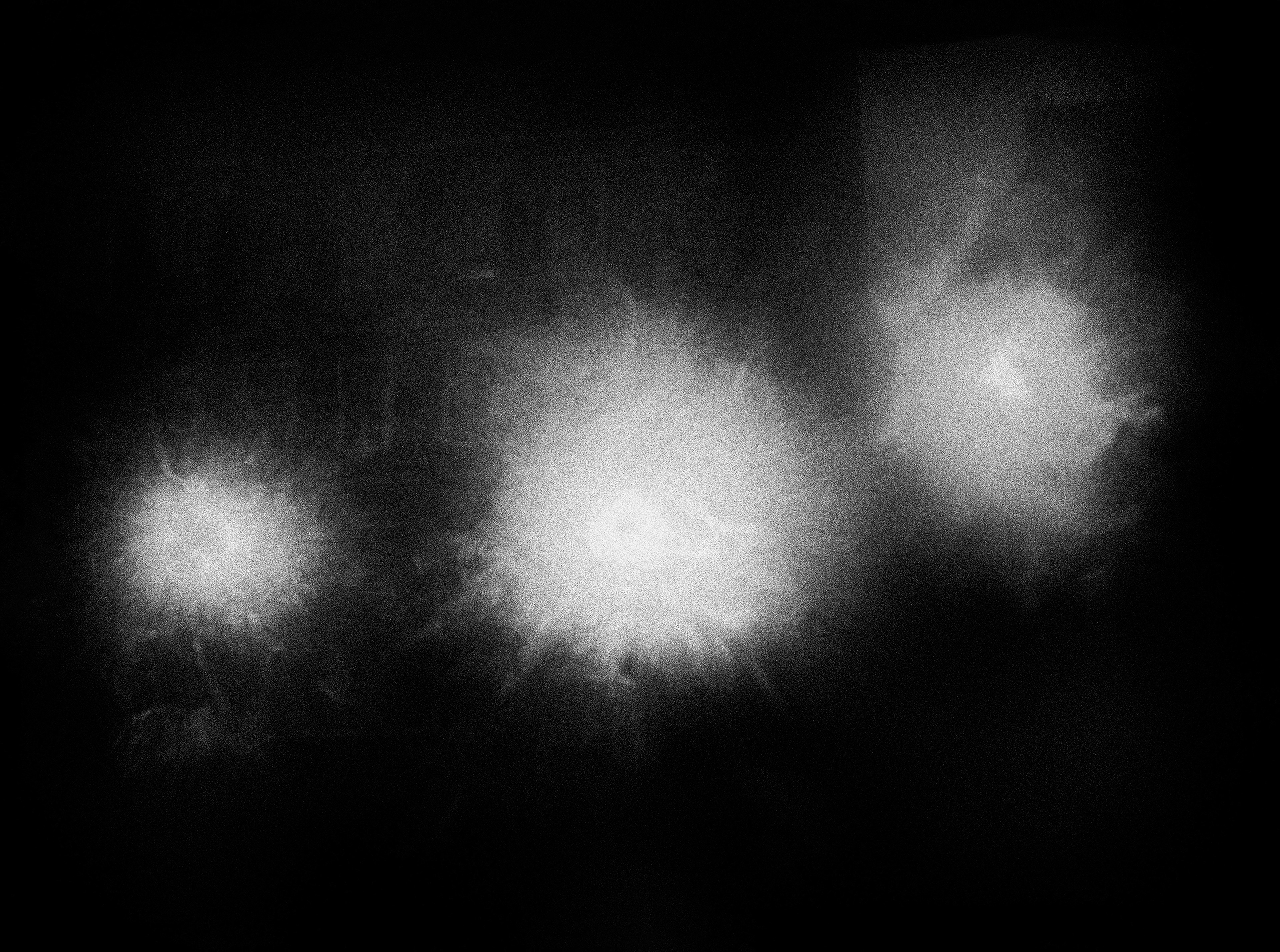 éditions Arnaud Bizalion