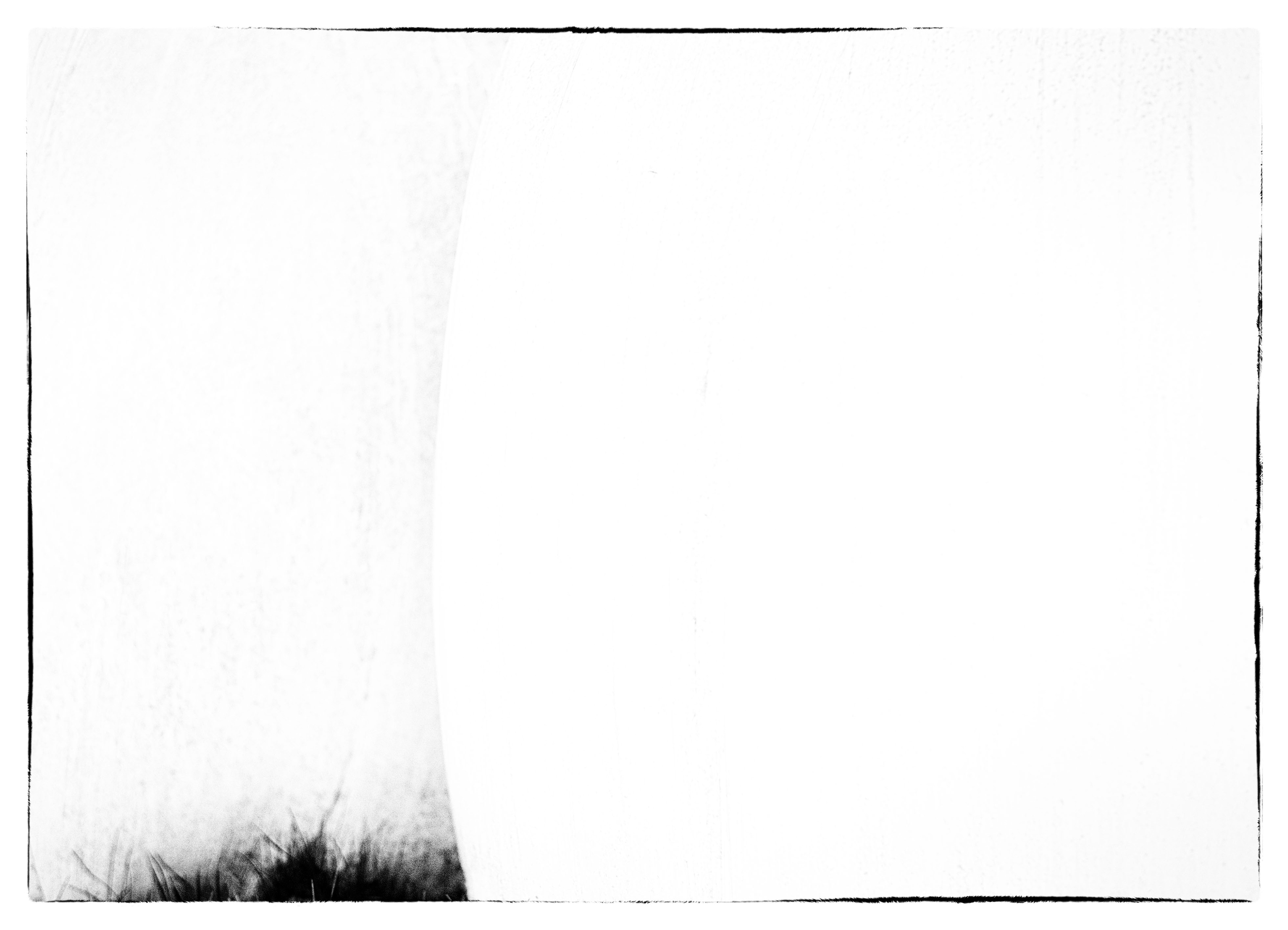 Après vous - 1/8 signé 60x80 cm impression papier Hahnemühle Hemp 290g 