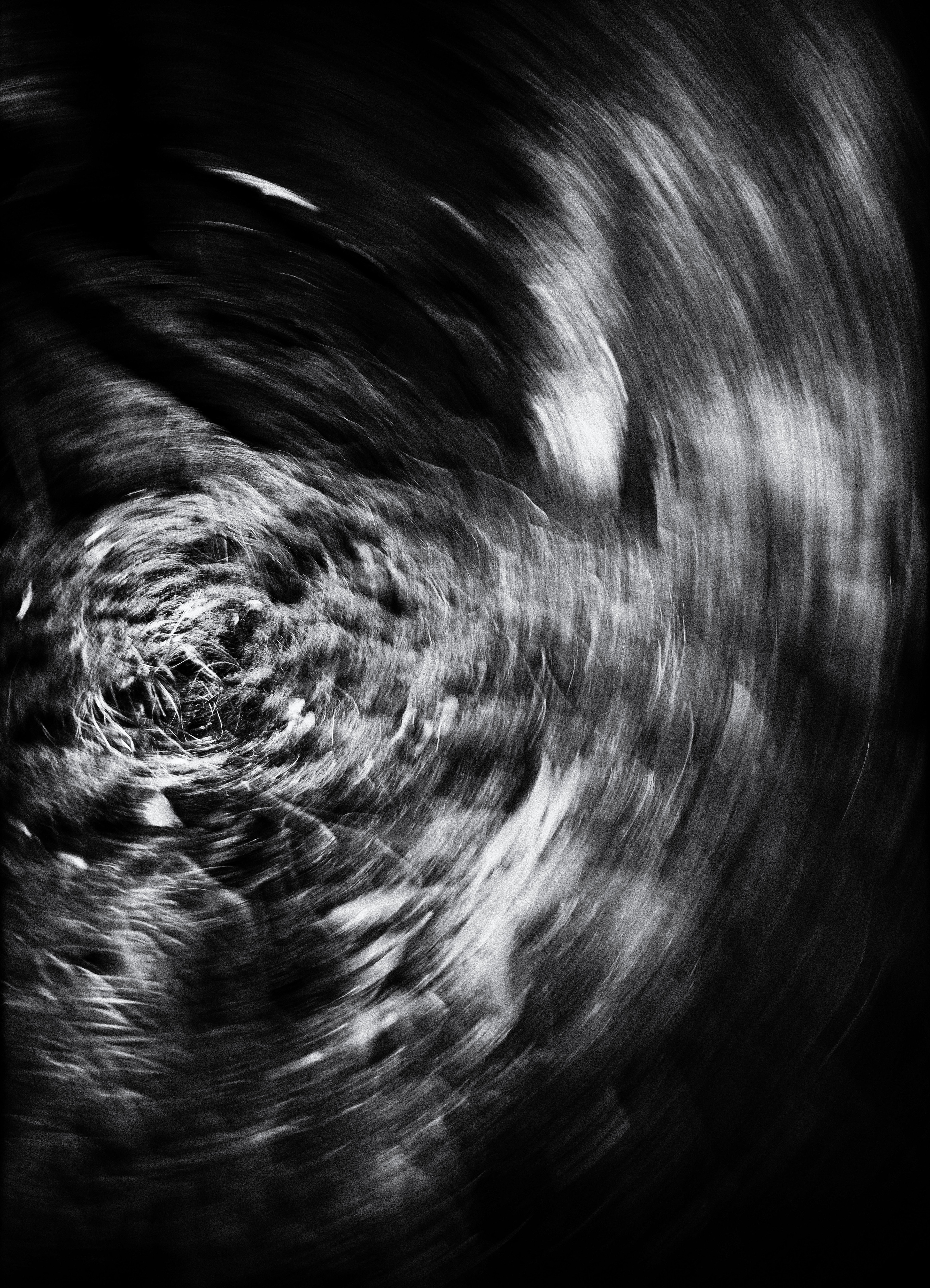 Et tournoie 1/8 signé 40x60 cm impression piezography 