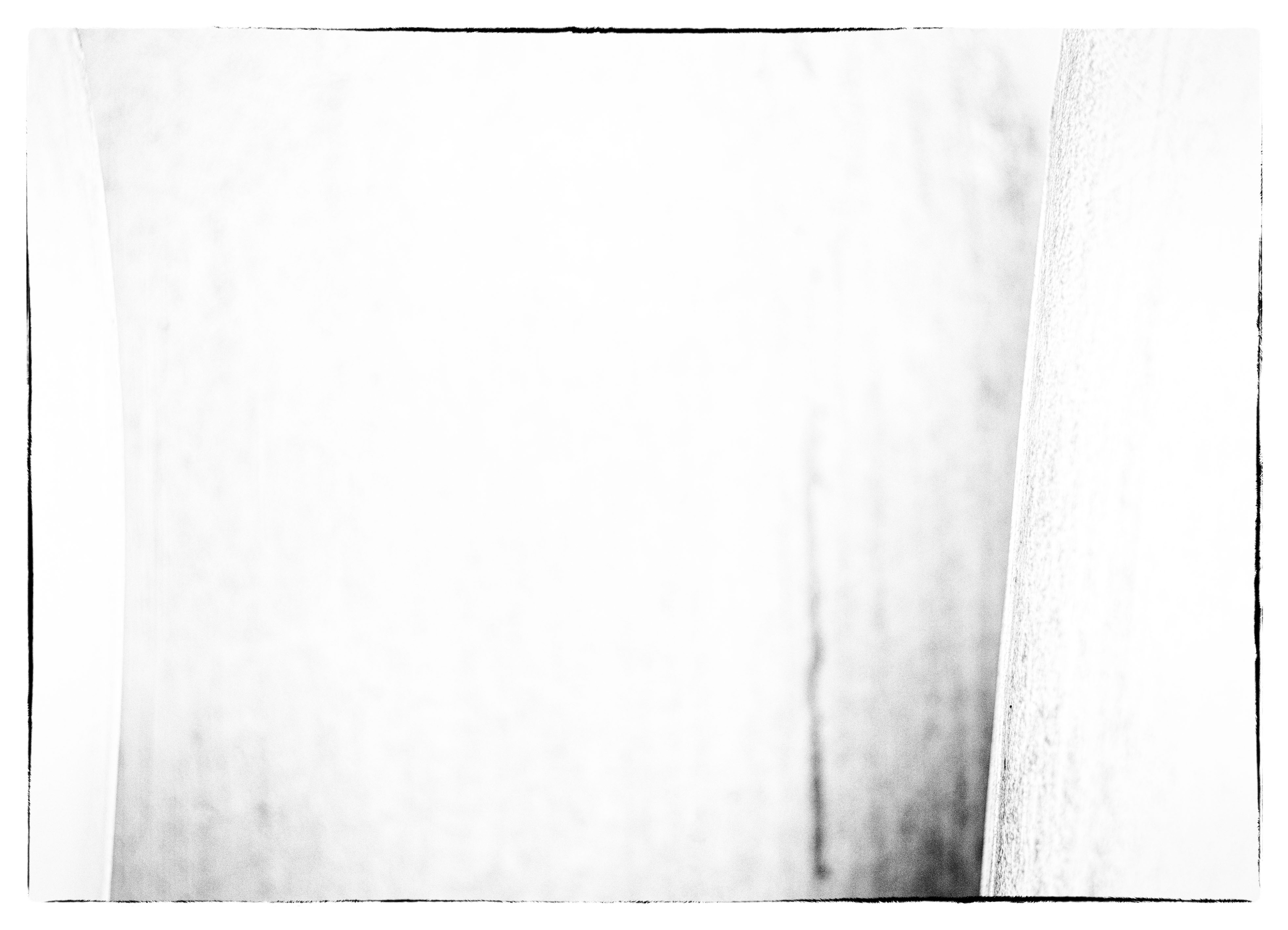 Swan - 1/8 signé 60x80 cm impression papier Hahnemühle Hemp 290g 