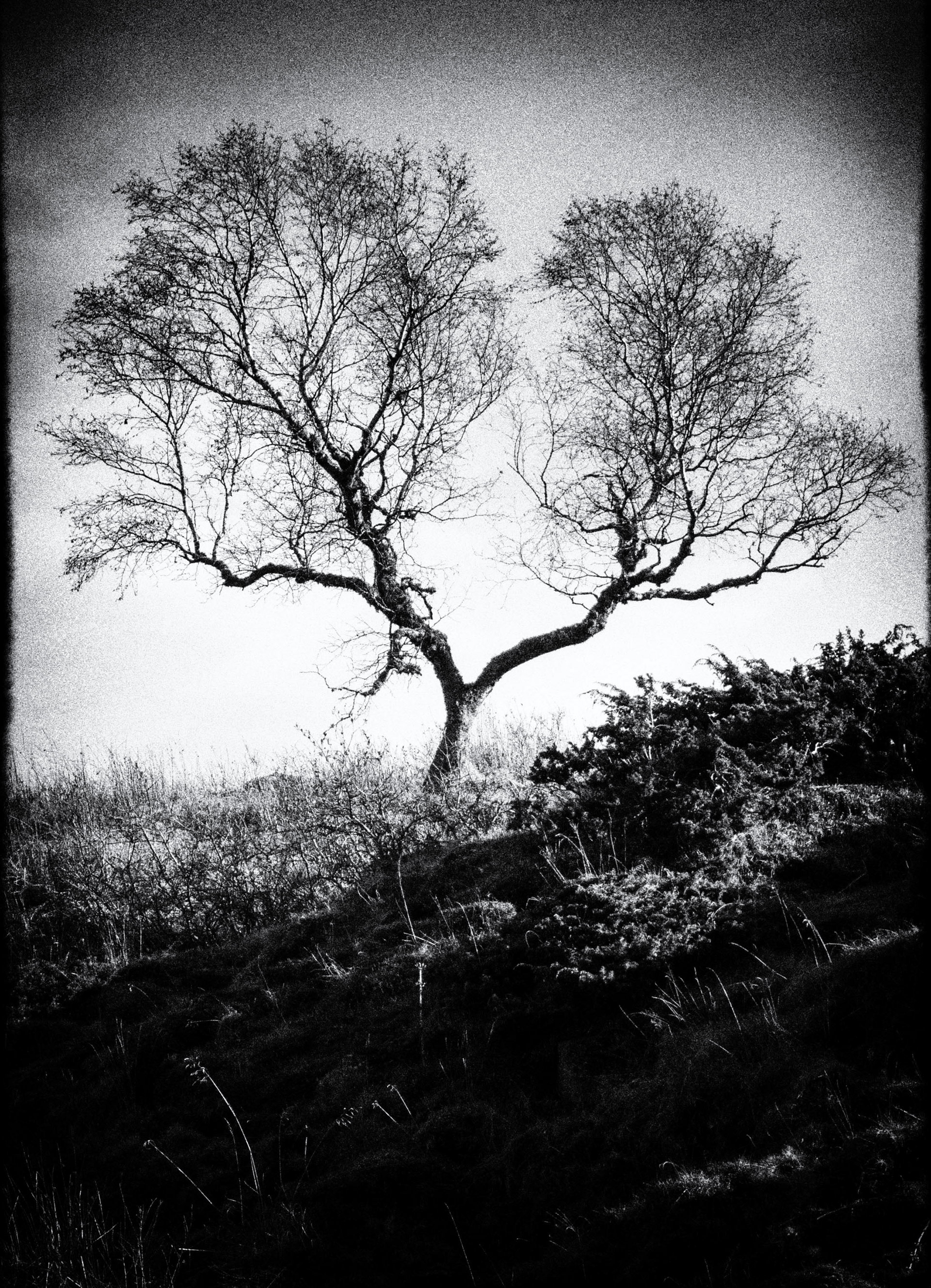 Encore un soir - 1/8 signé 40x60 cm impression piezography 