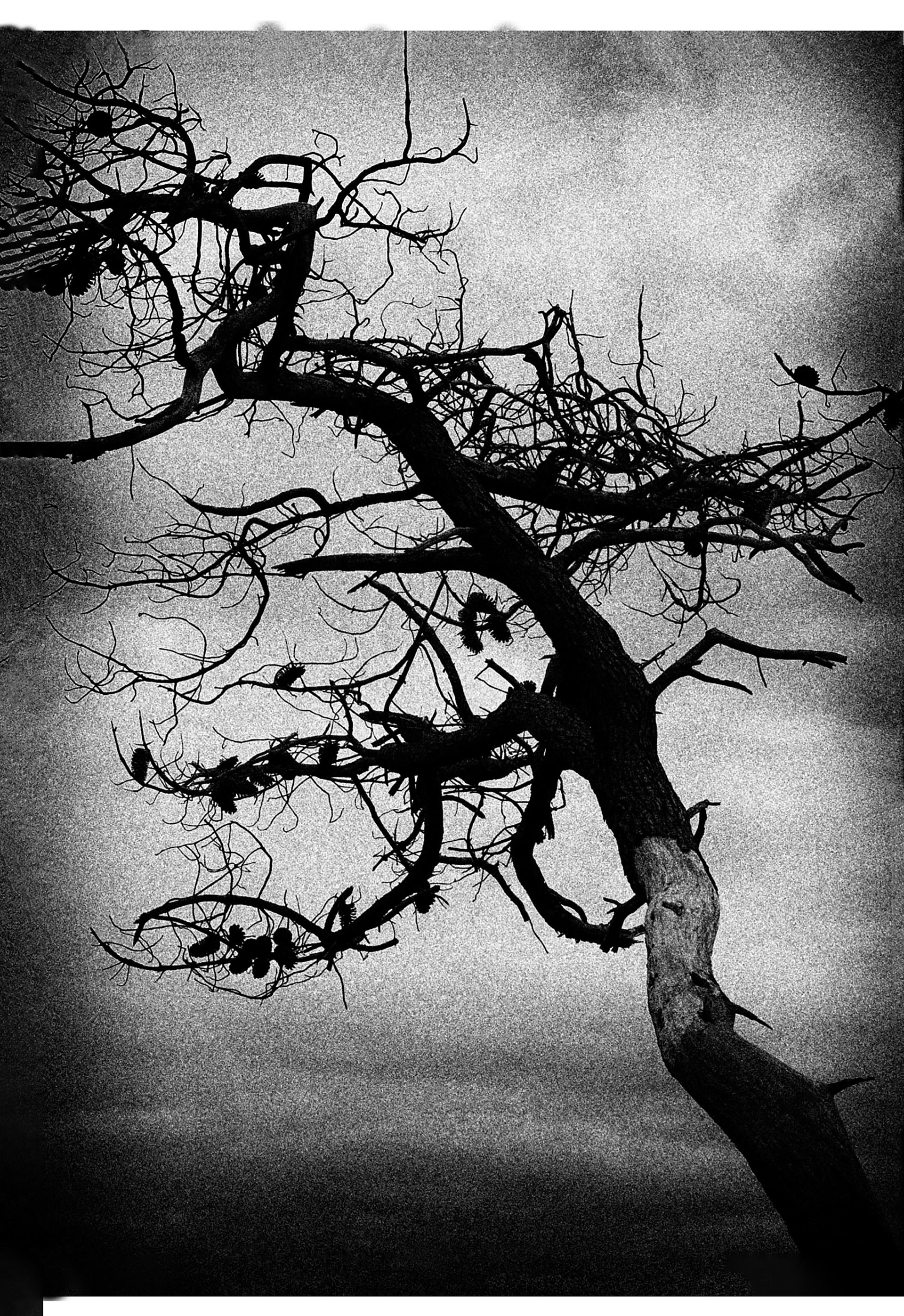 En partie 3 - 30x40 cm 2/8 signé impression piezography