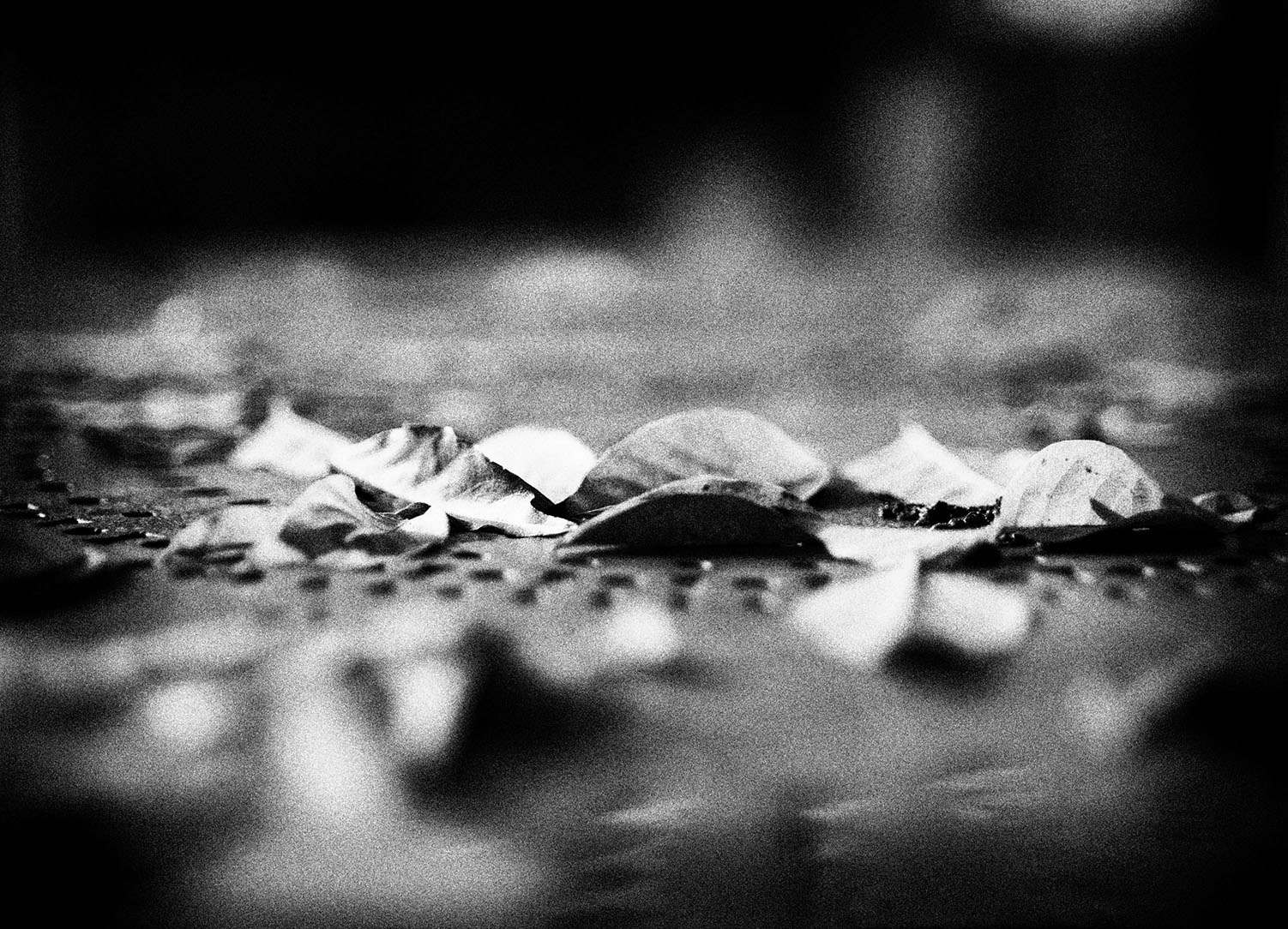 Souffle - 30x40 cm 3/8 signé impression piezography