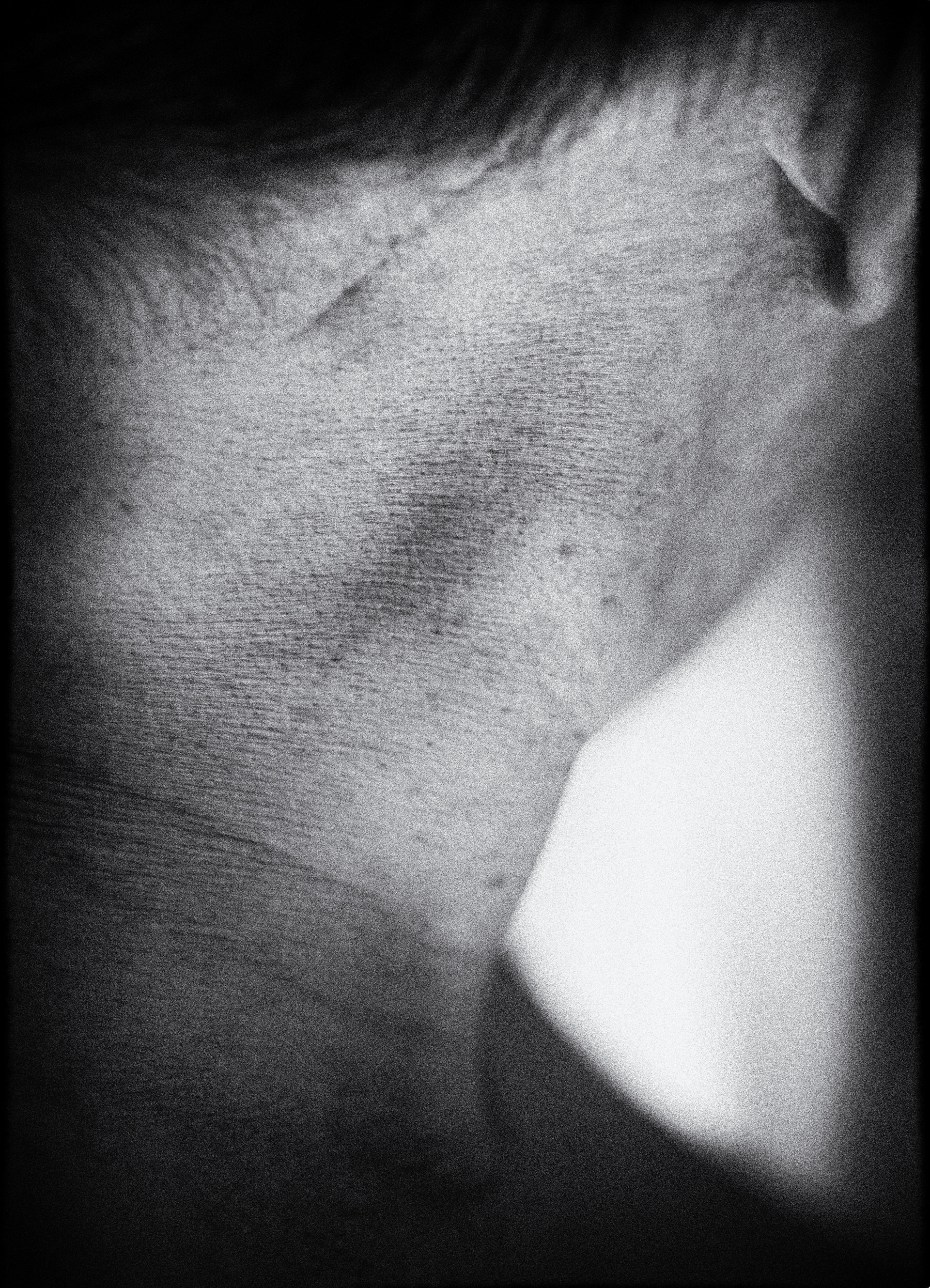 La peau dure - 1/8 signé 30x40 cm impression piezography 