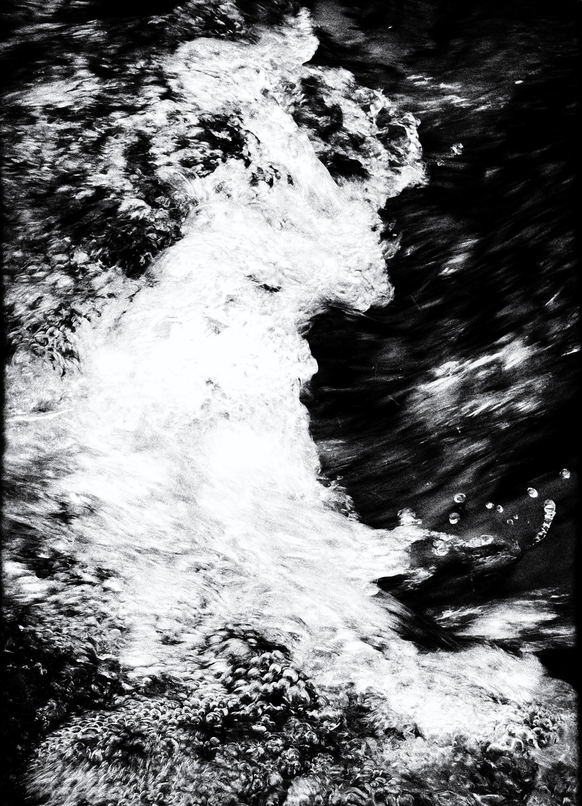 7 vies - 1/8 signé 40x60 cm impression piezography 