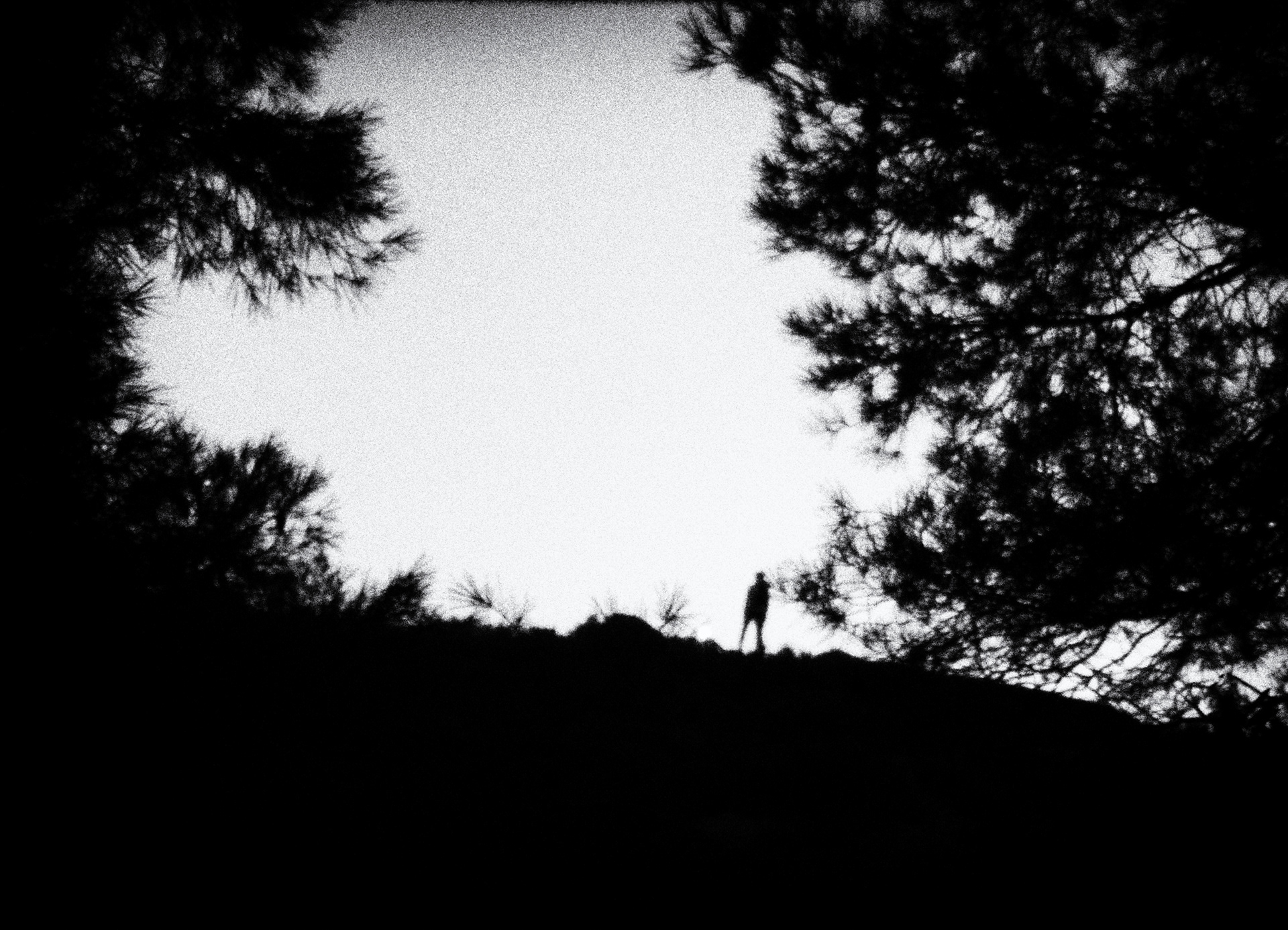 Maybe tomorrow - 1/8 signé 30x40 cm impression piezography 