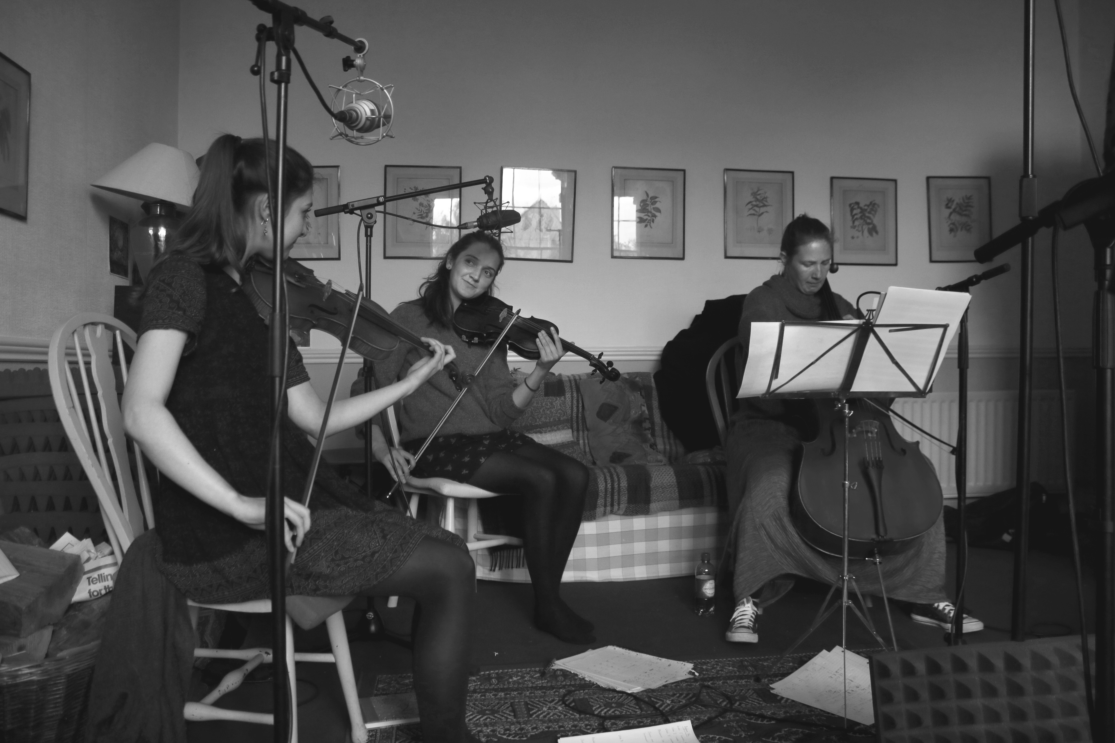 Wintermore. Strings.