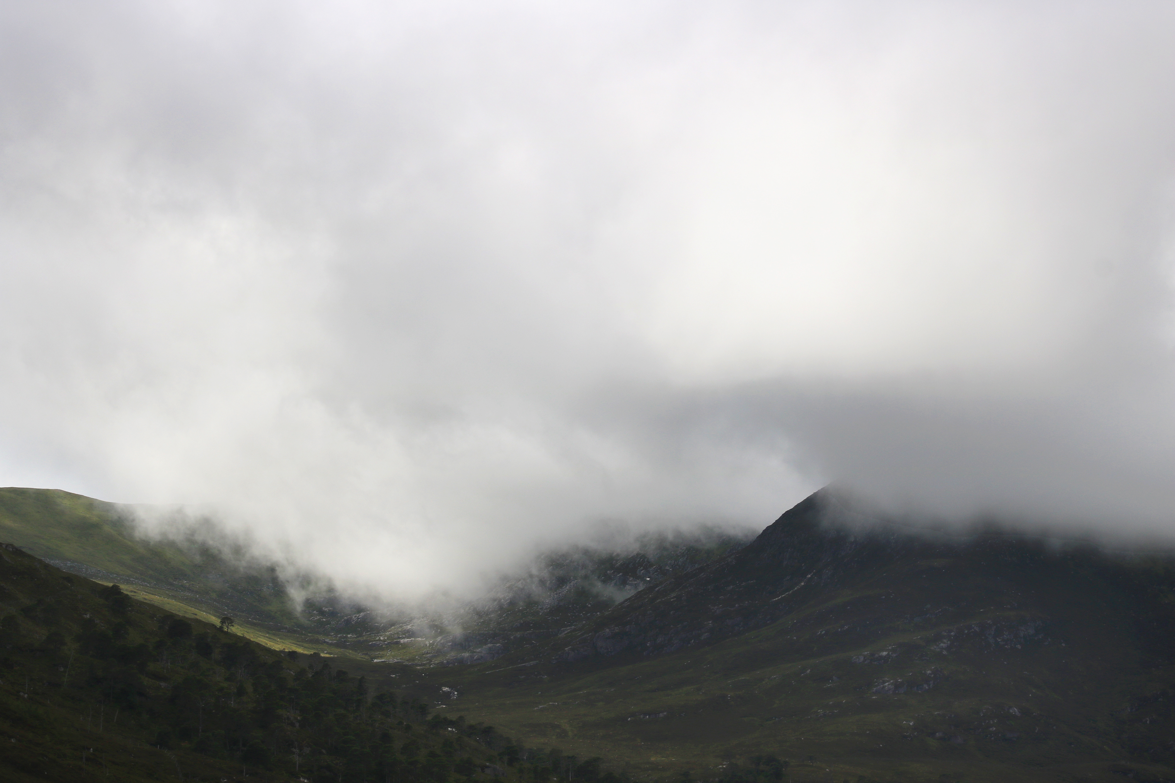 Canaich. Mist.