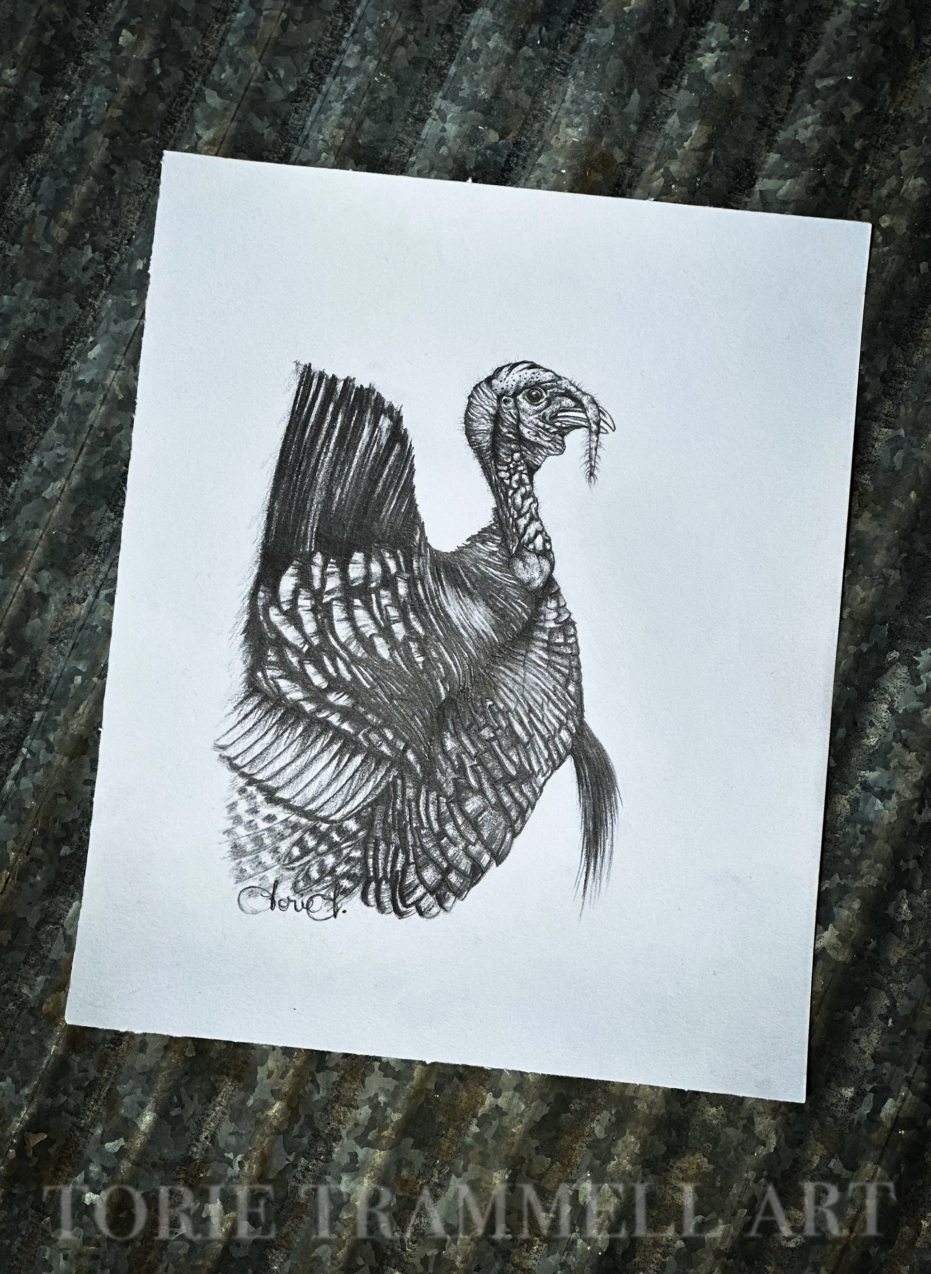 Original Turkey Graphite