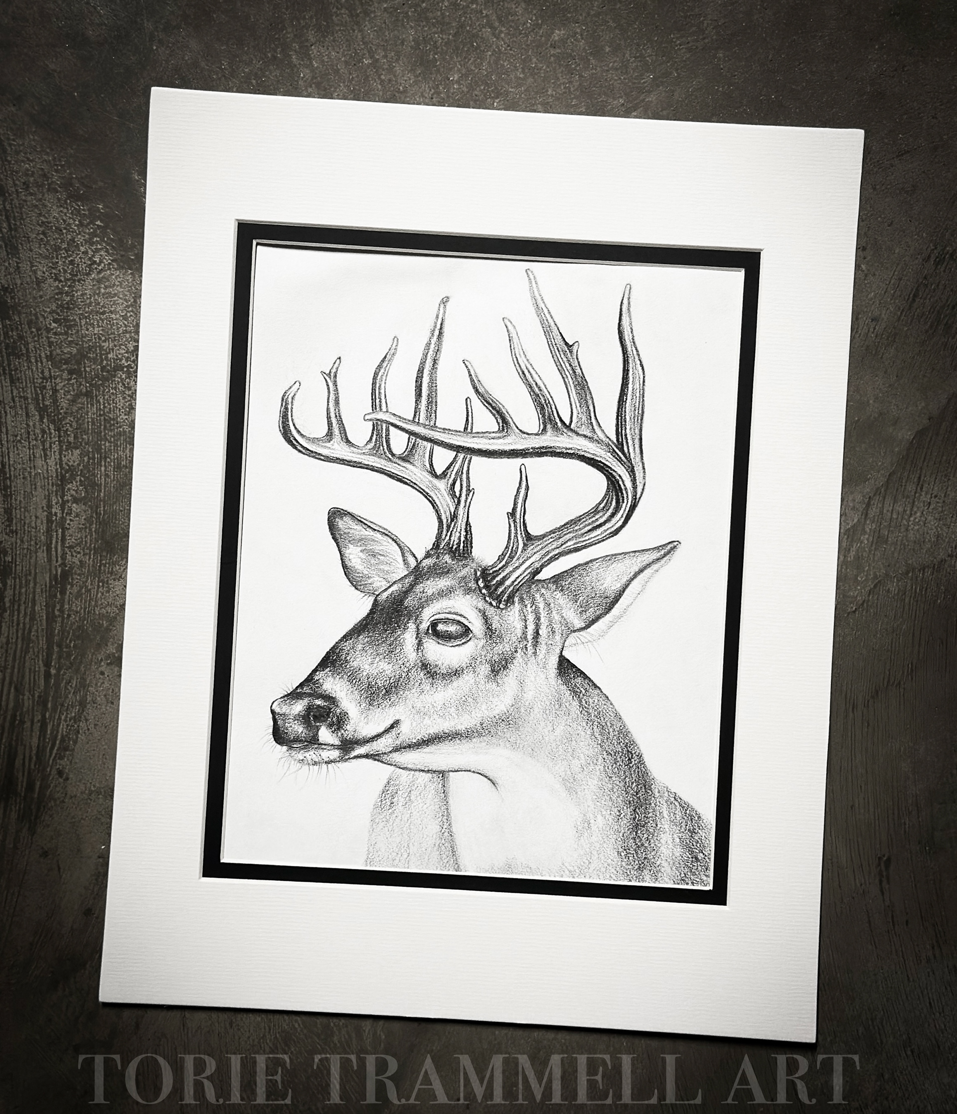 Original Whitetail Deer Graphite