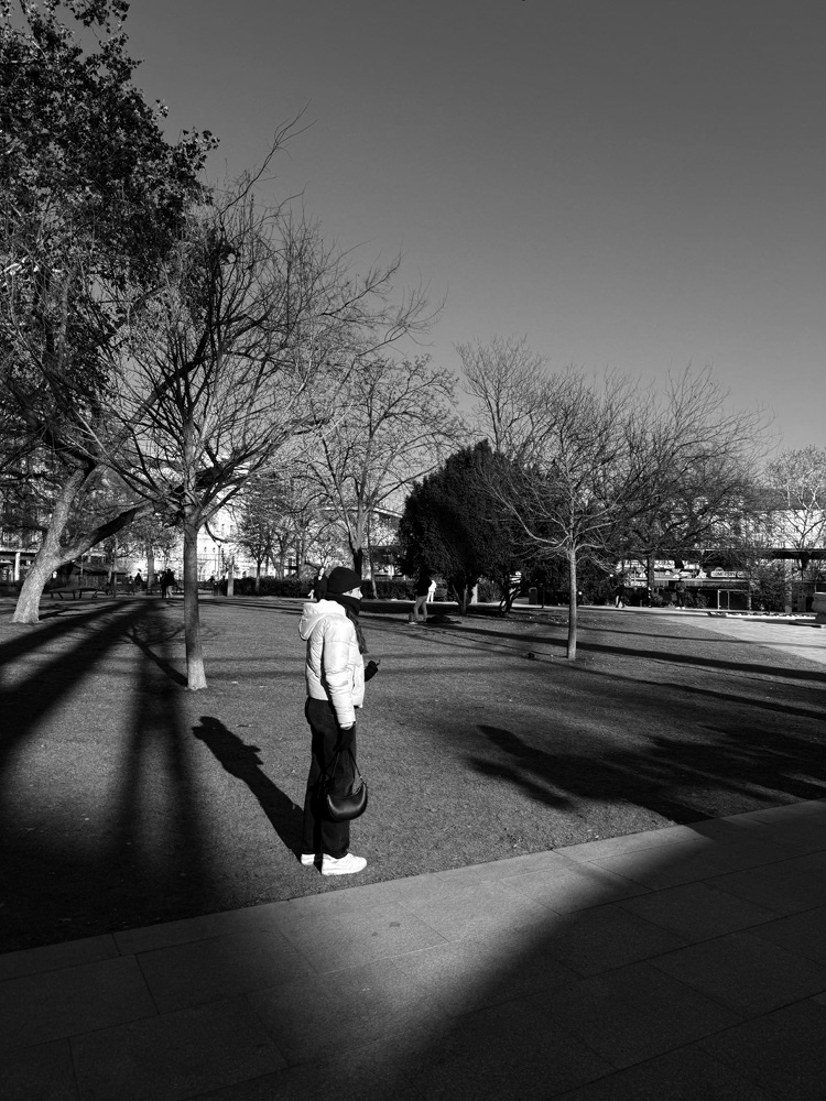 Erzsébet Square, 2025