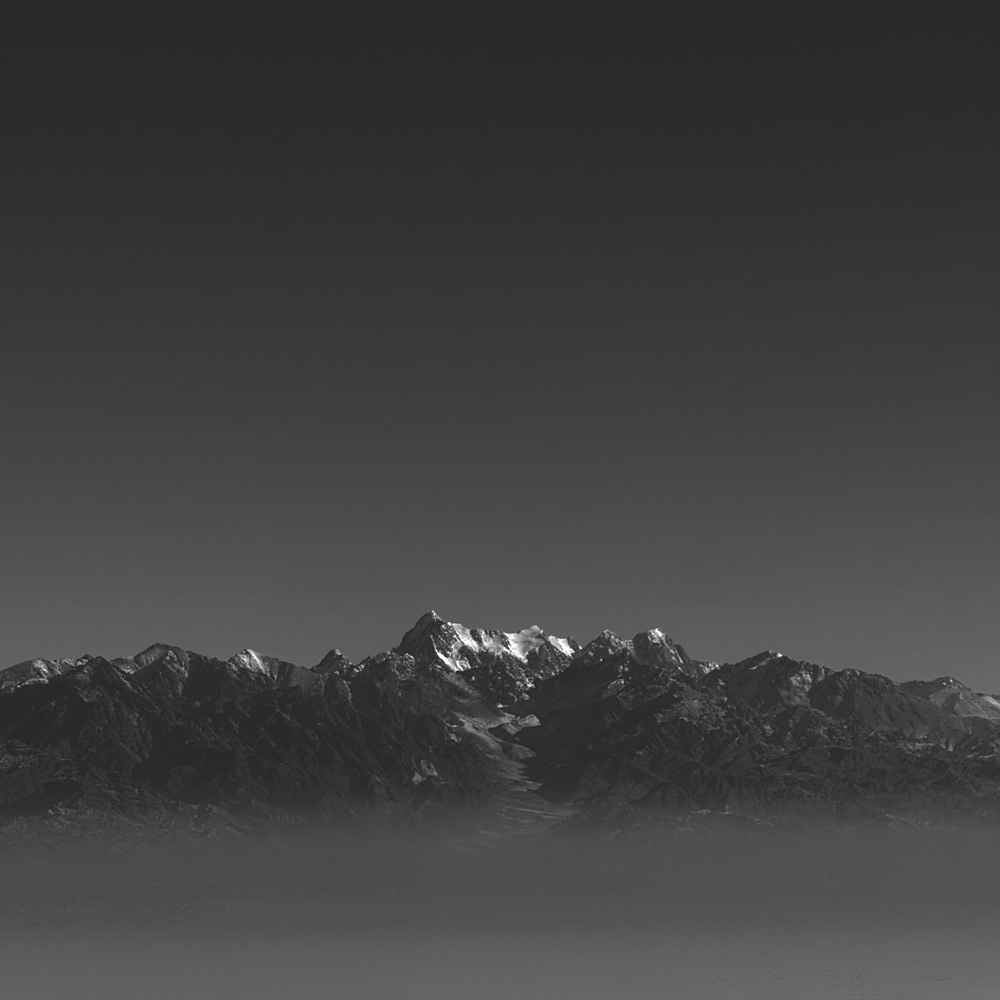 Above the Fog, 2024