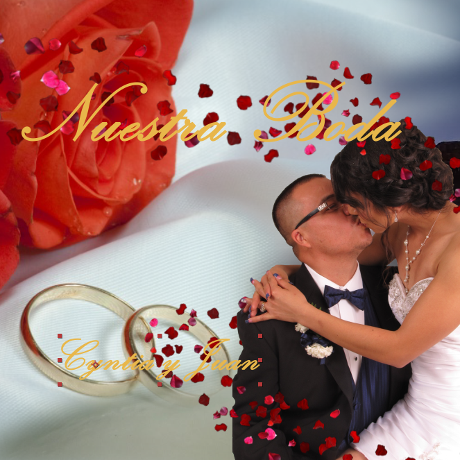 Cover for wedding video
