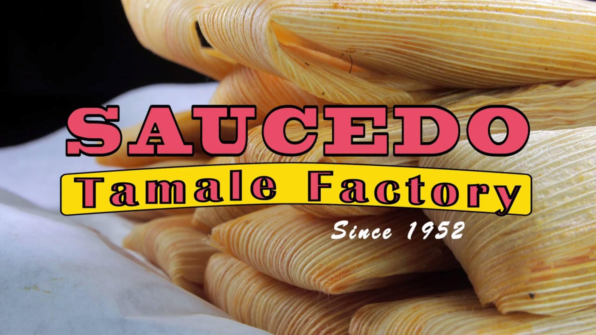 Recreated Logo for commercial 2D animation