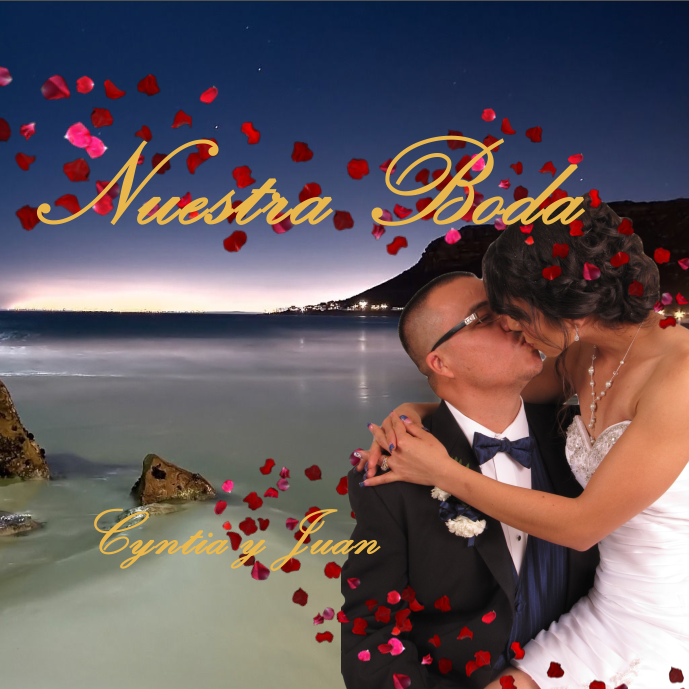 Cover for wedding video