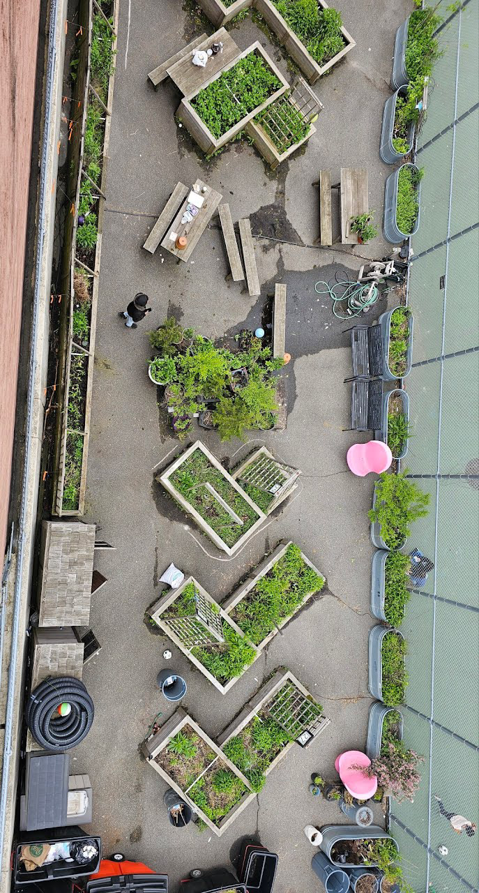 Overhead View