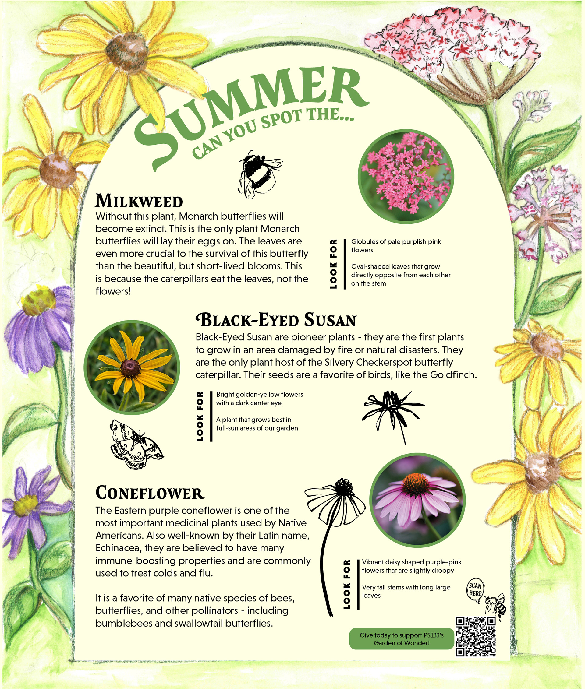 Seasonal Poster (Summer)