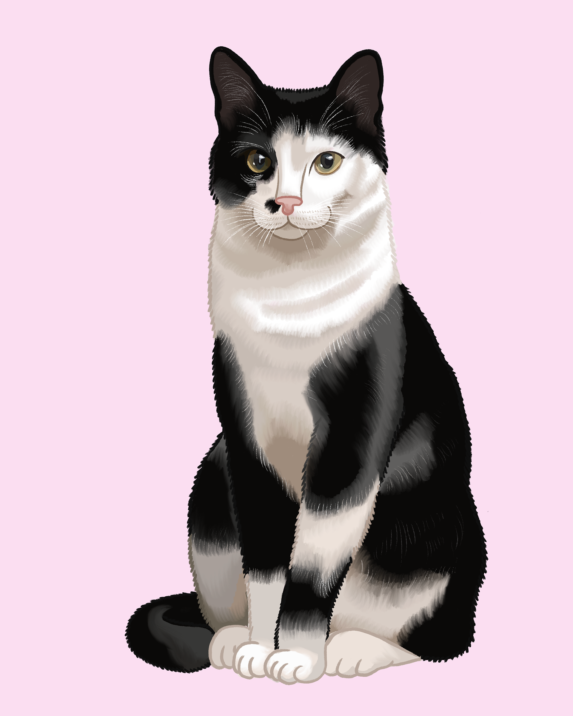 Cat Portrait - Digital