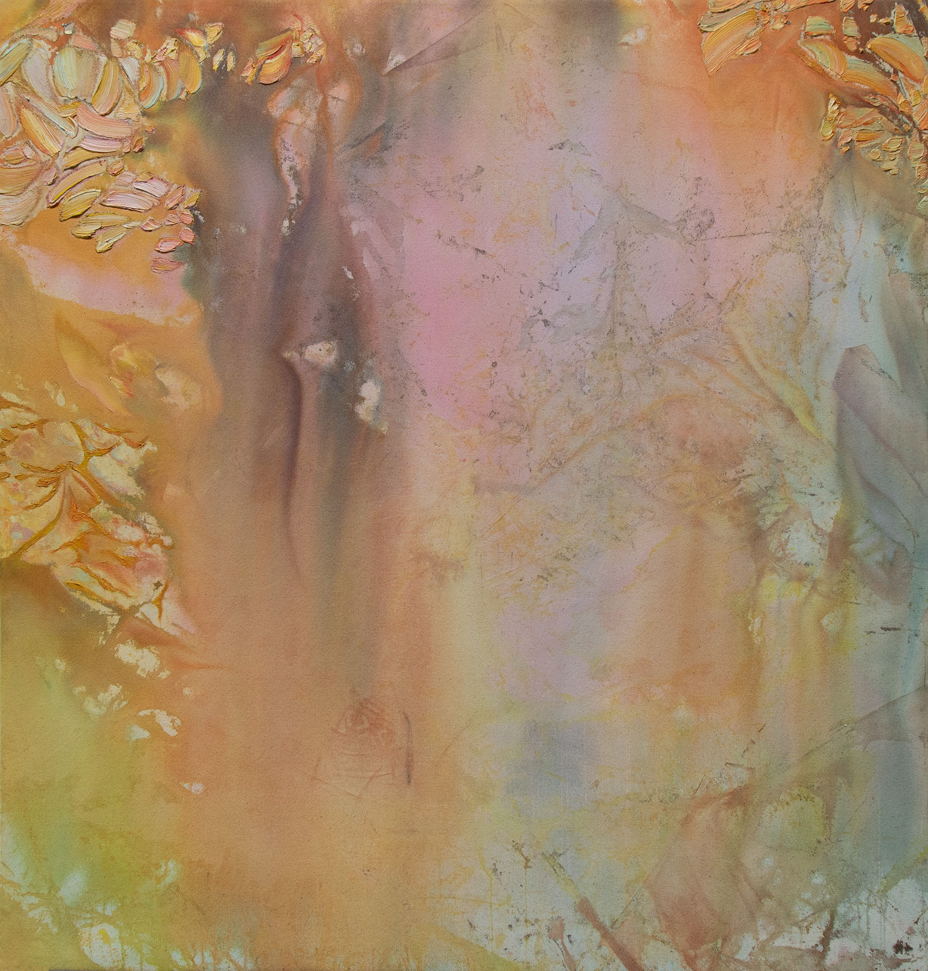 Sun Bark. 2026. Oil and acrylic on canvas. 40” x 42”