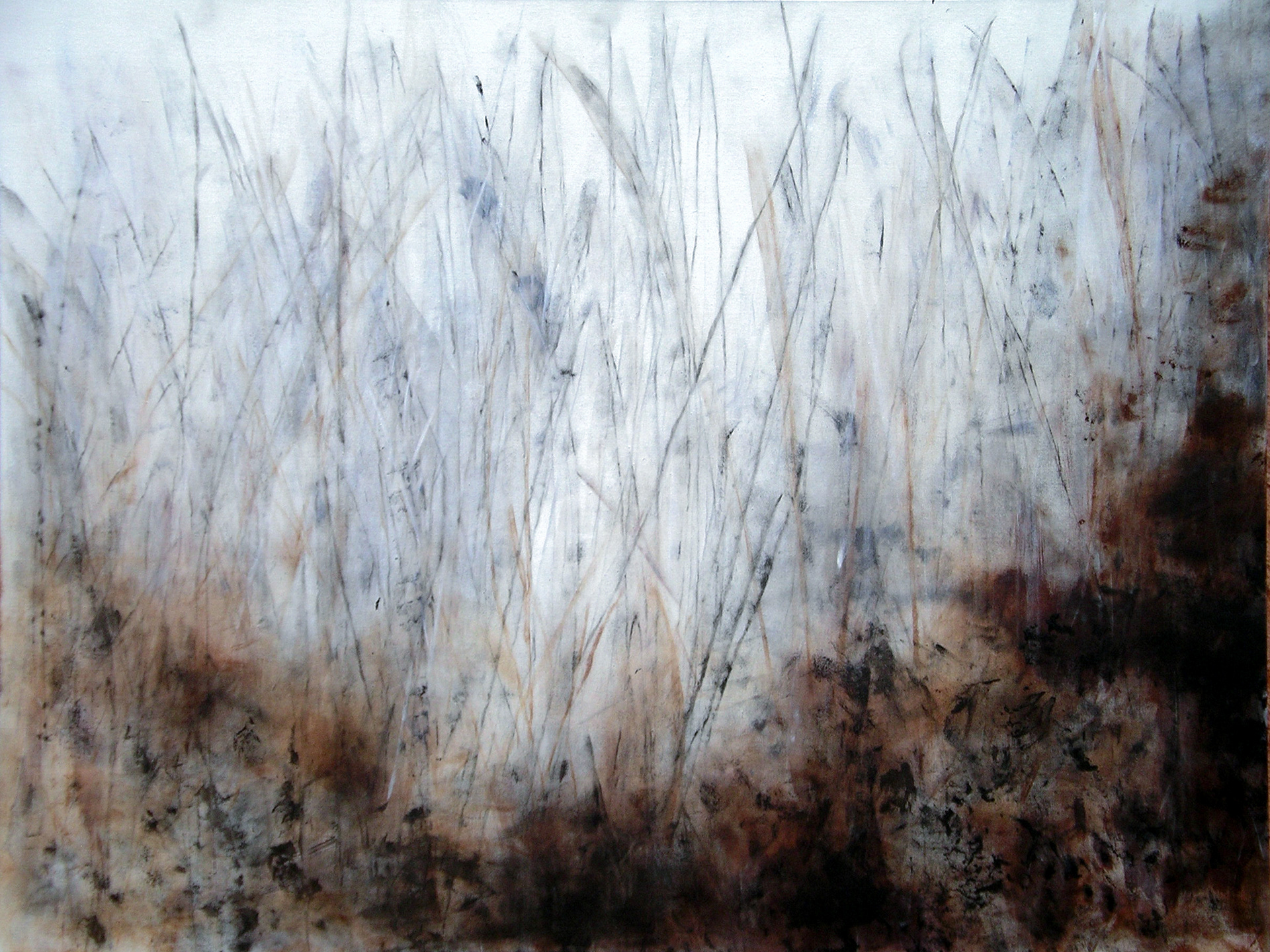 In the middle of the woods, Acrylic on canvas, 26.4 x 39.4 in, 2005.