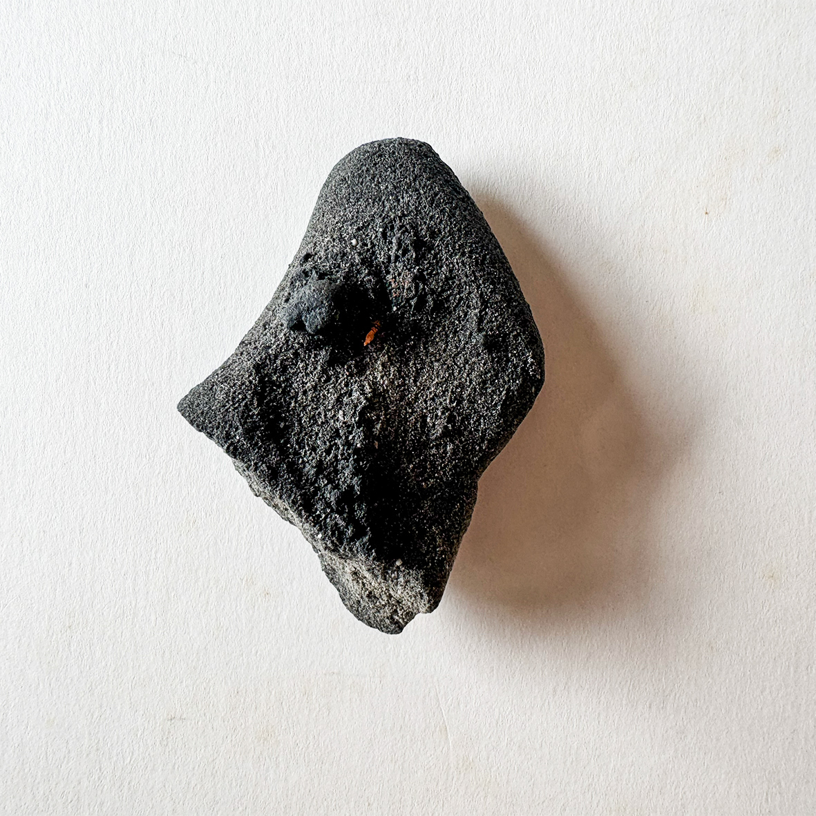 Stone collected in Venice in June 2026