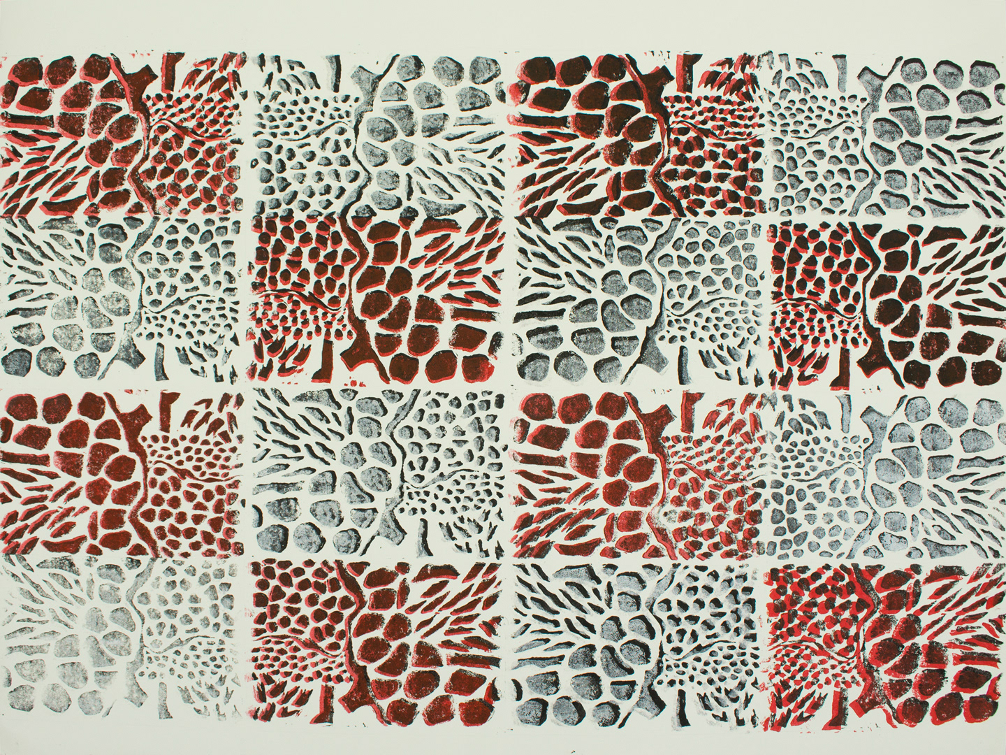 16 Mater Cells 1 BxWxRed 1
