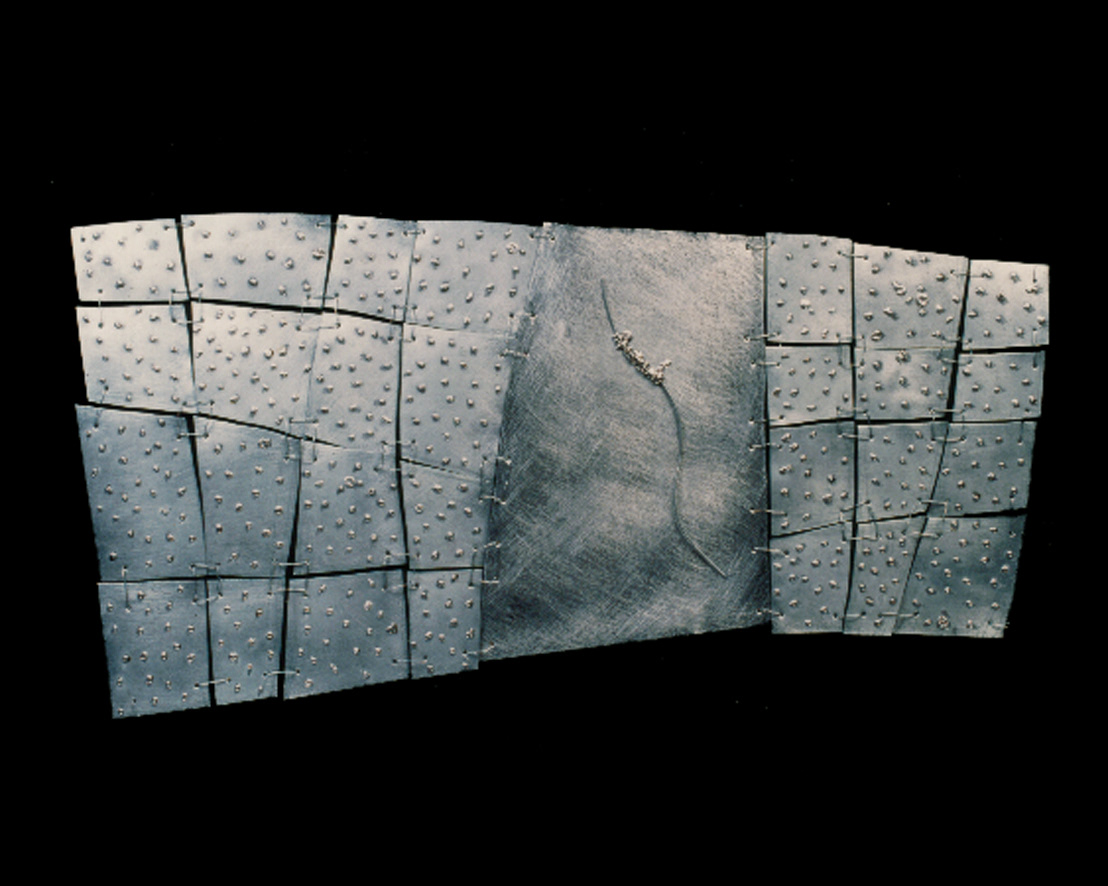 Evolução (Evolution), 3 editions, iron and electric welding, 21.7 x 36 in, 2000.