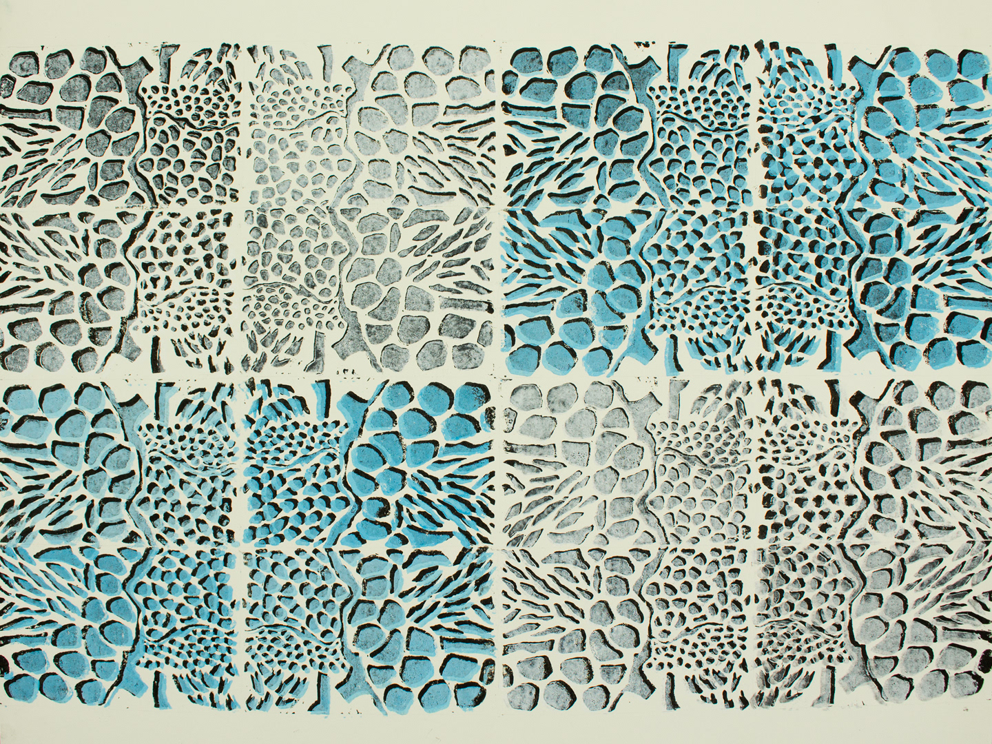16 Mater Cells 1 BxWxBlue  2