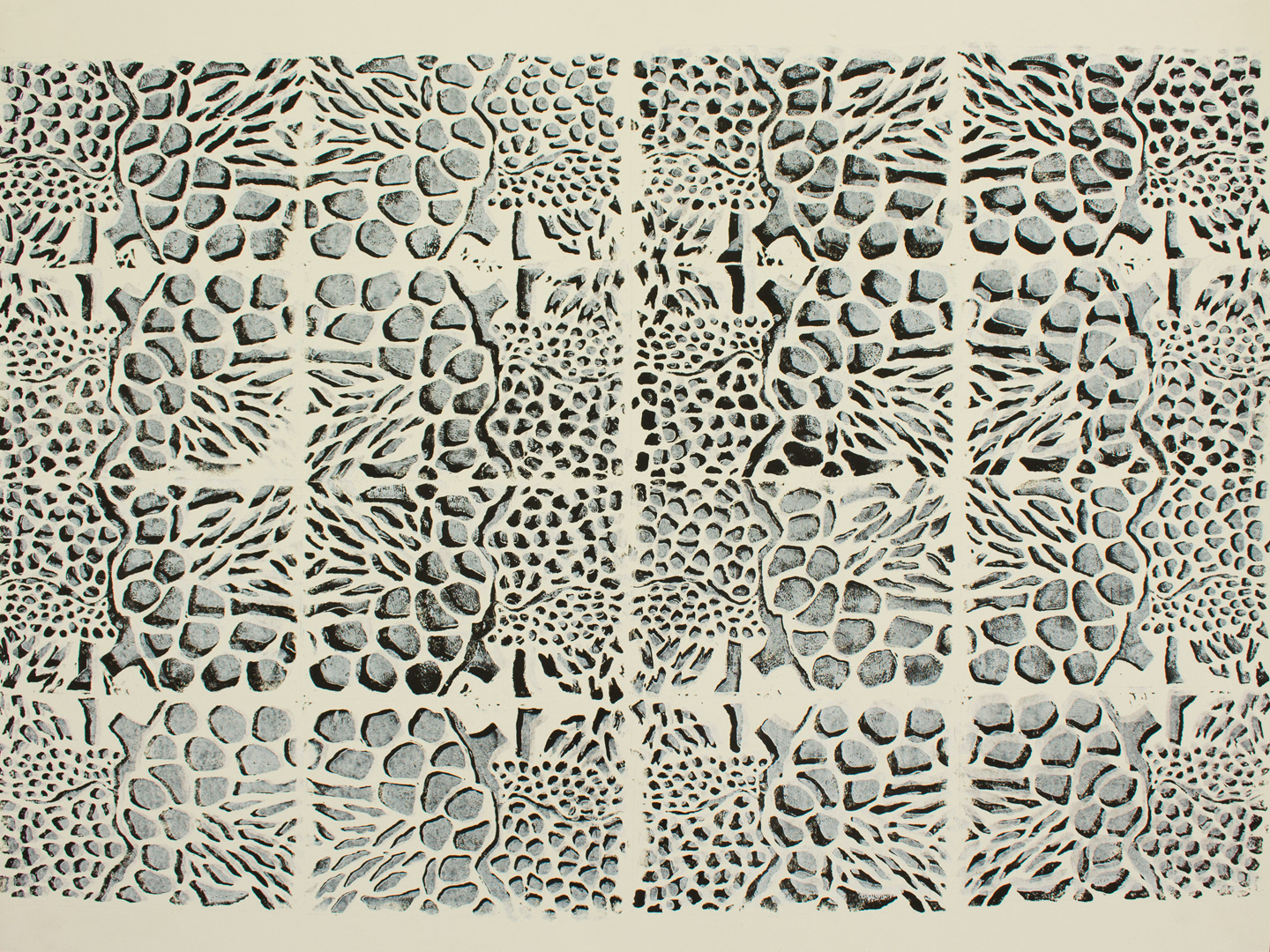 16 Mater Cells 1 BxW 1