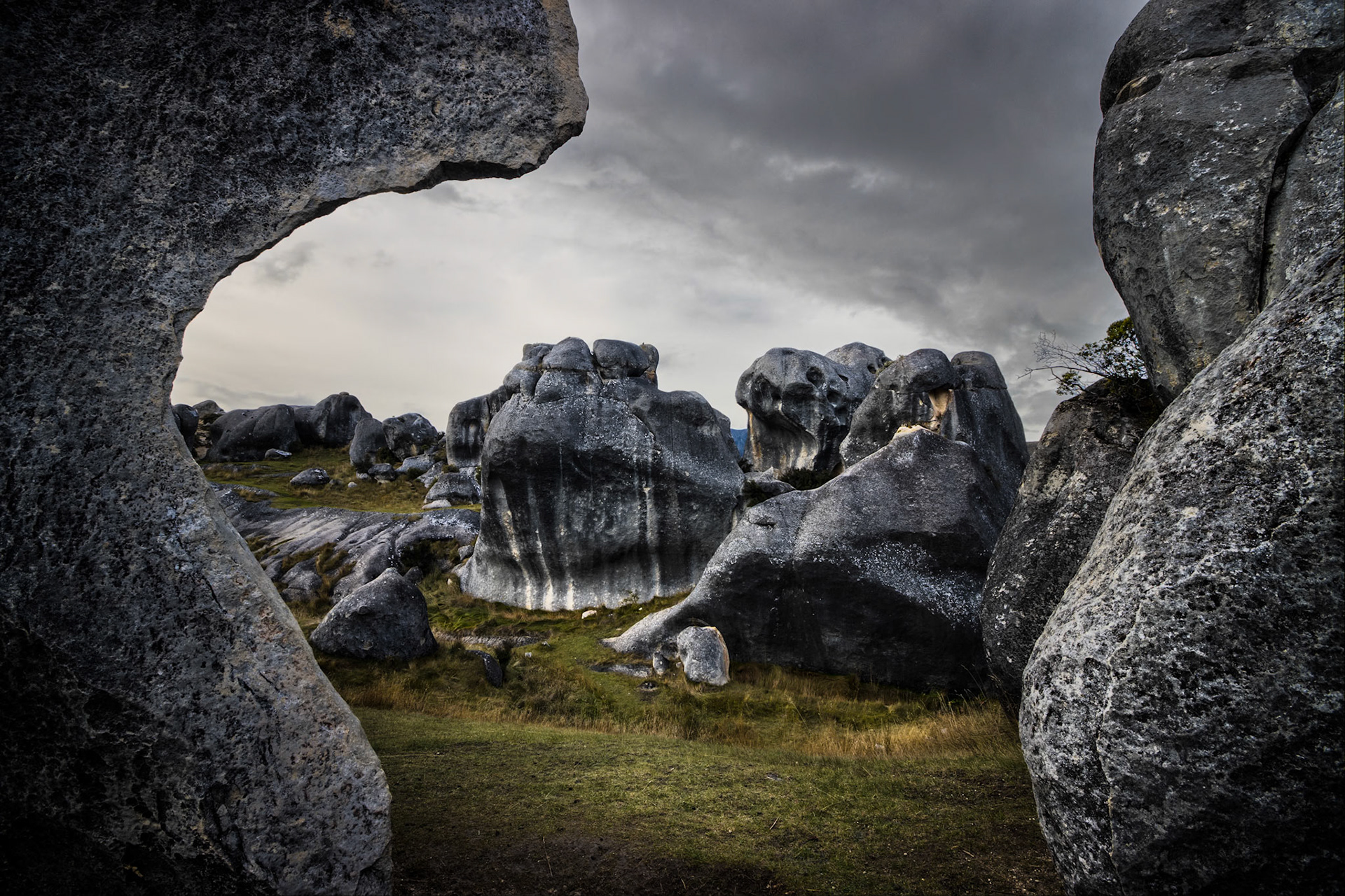 Castle Hill, South Island, New Zealand