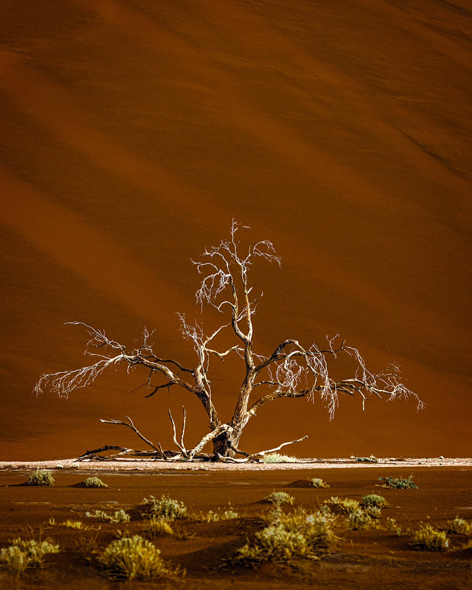 Namib-Naukluft National Park