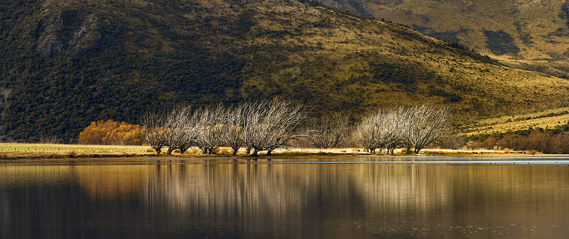 South Island, NZ