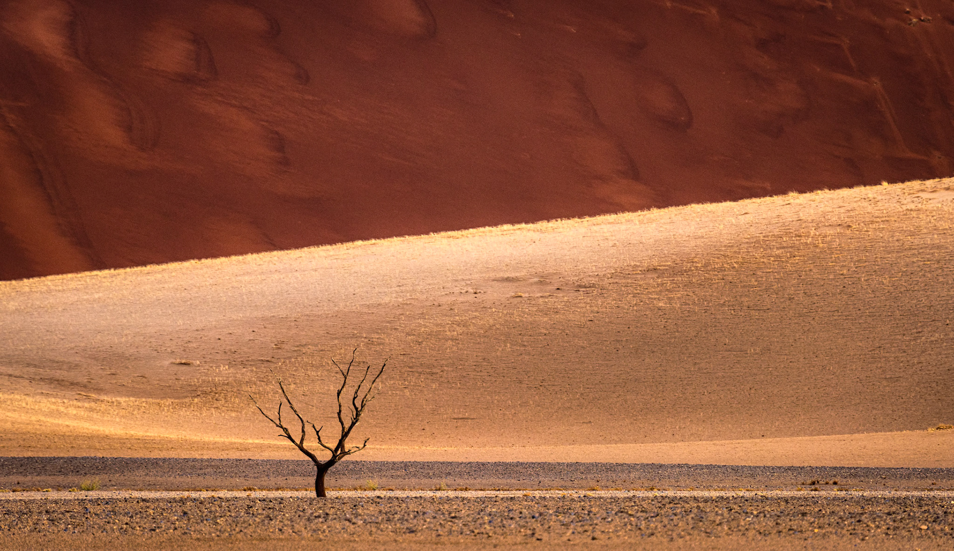 Namib-Naukluft National Park