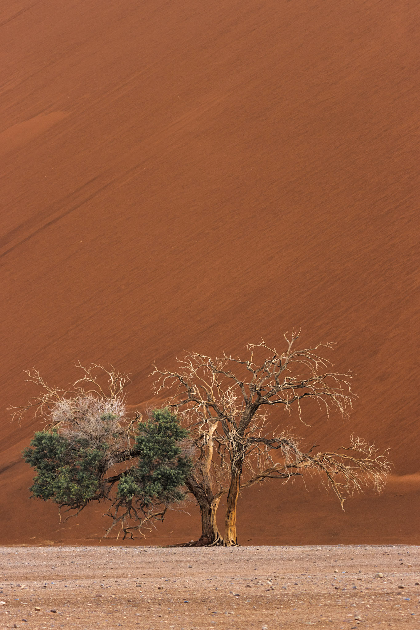 Namib-Naukluft National Park