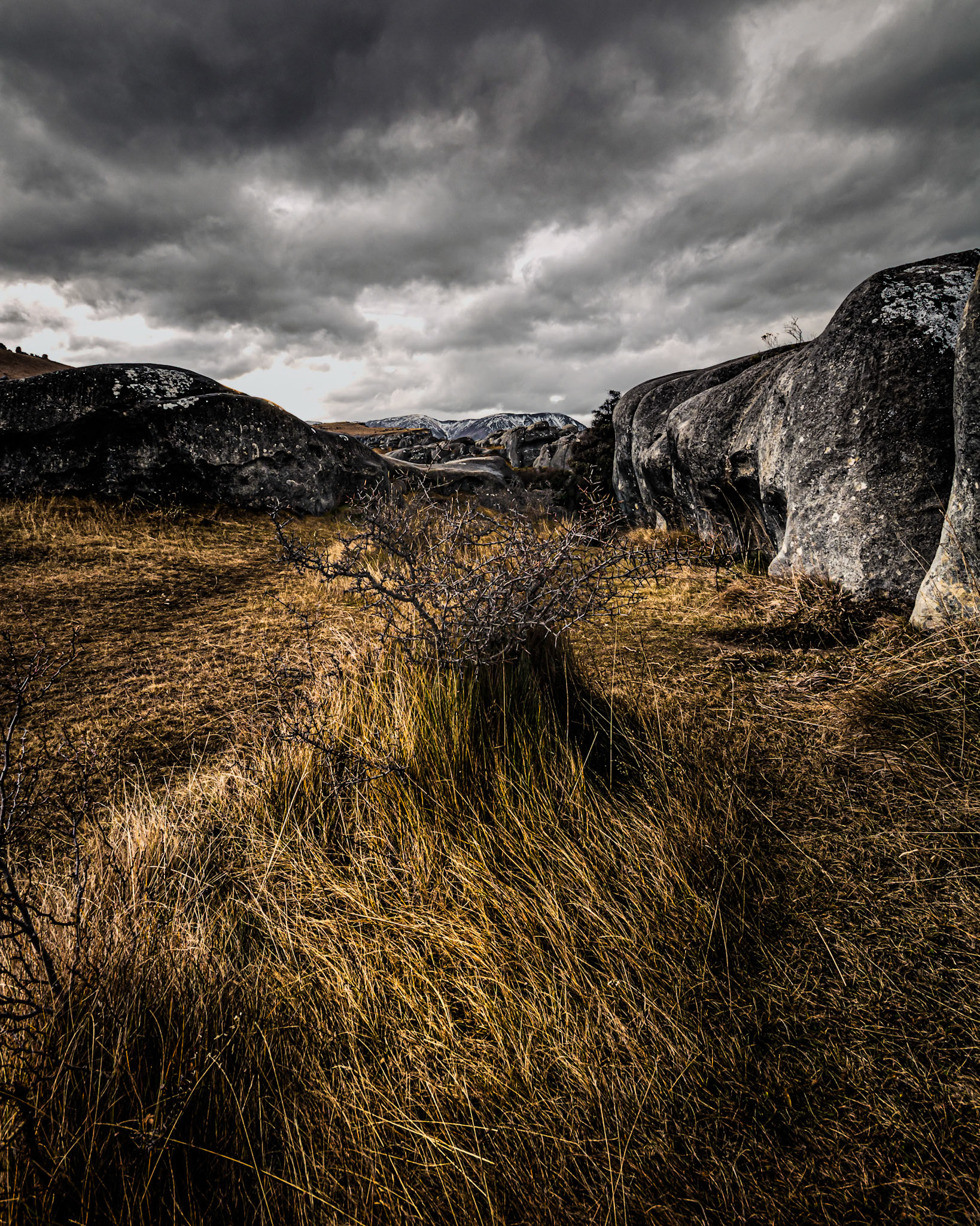 Castle Hill, Island, New Zealand